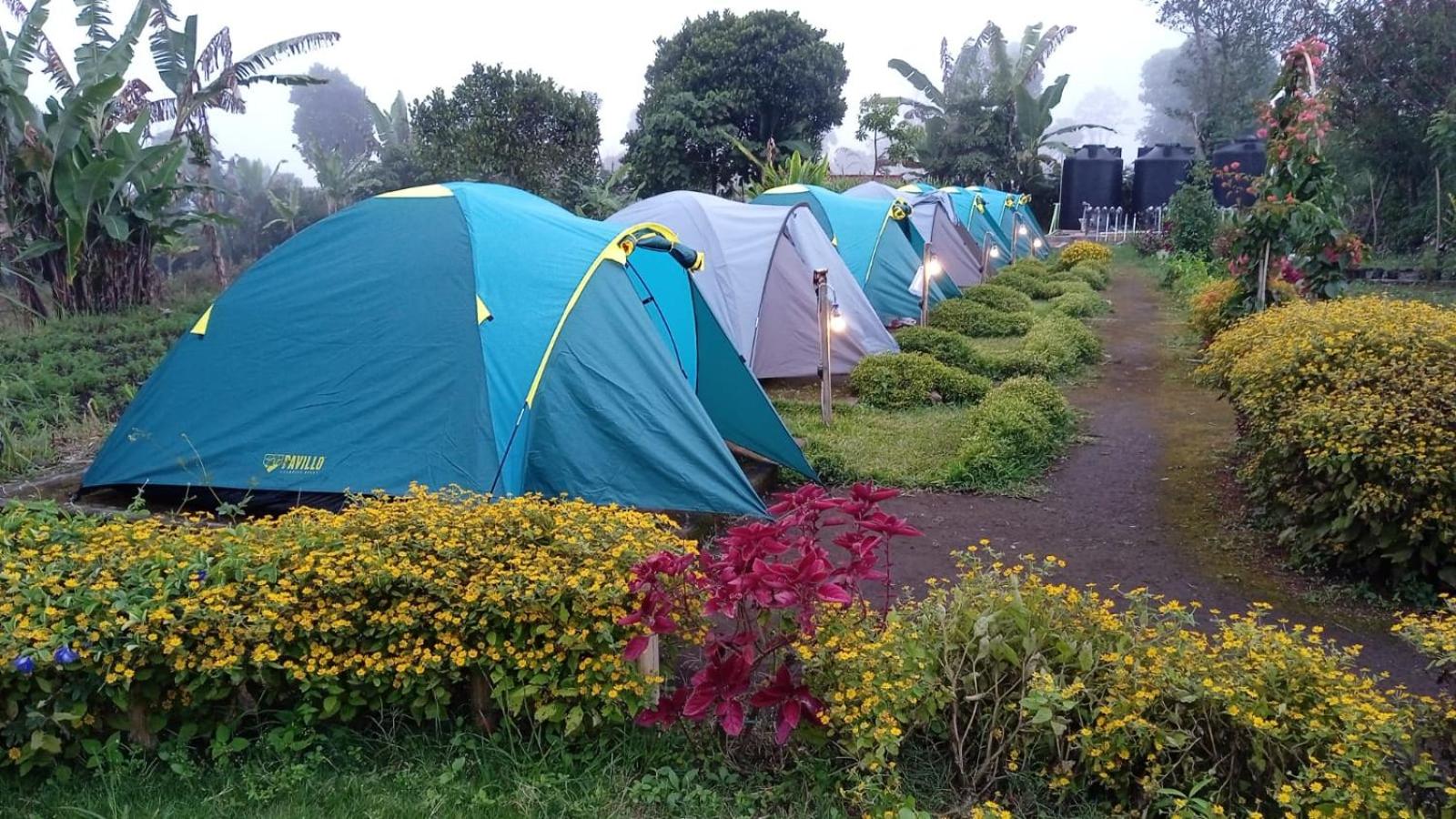 Tent - Photo 5