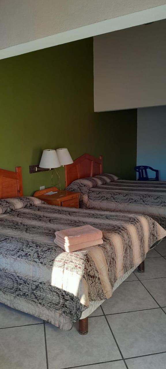 Standard Two Beds  photo 1