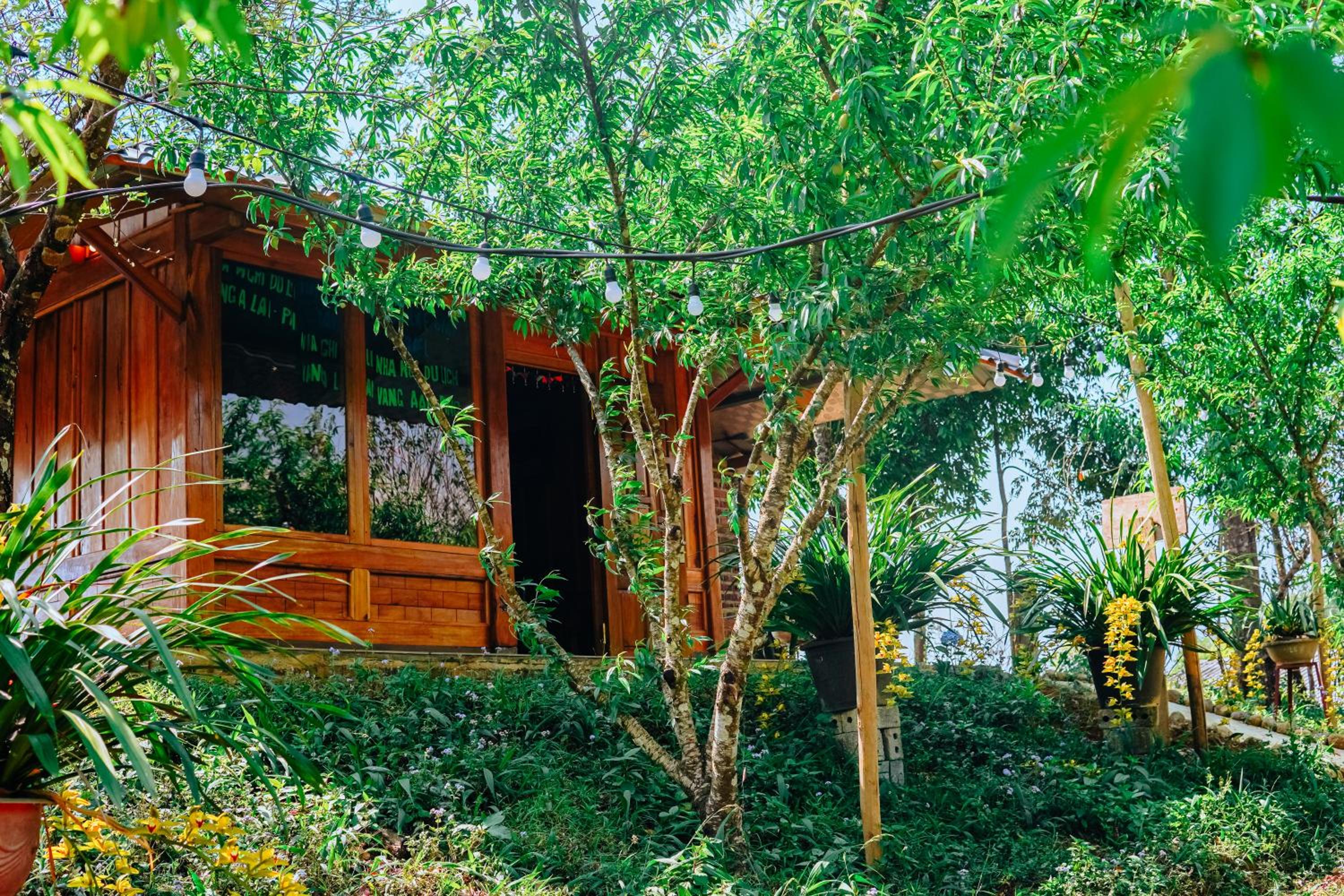 Deluxe Bungalow With Garden View photo 2
