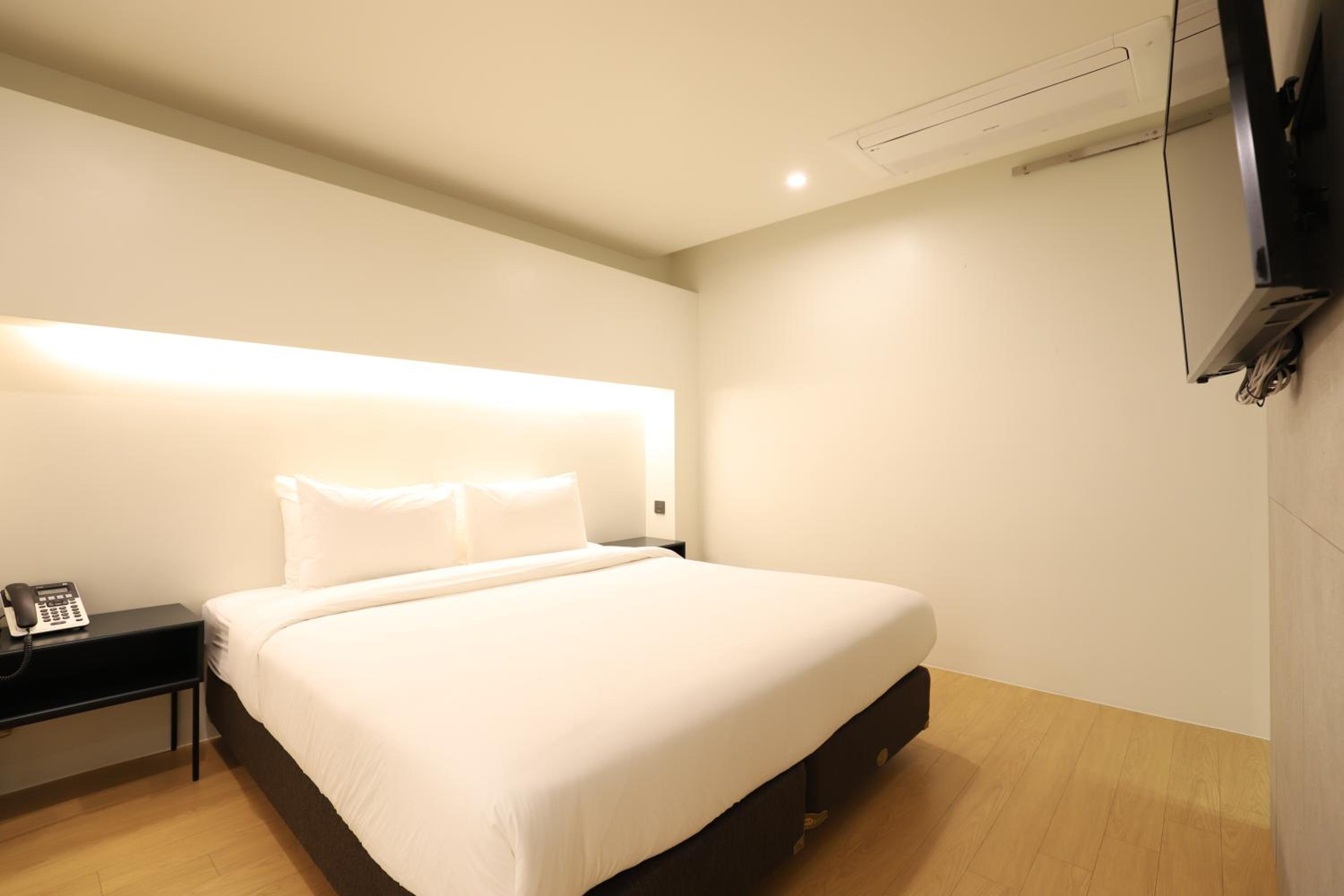 Suite - Photo 1
