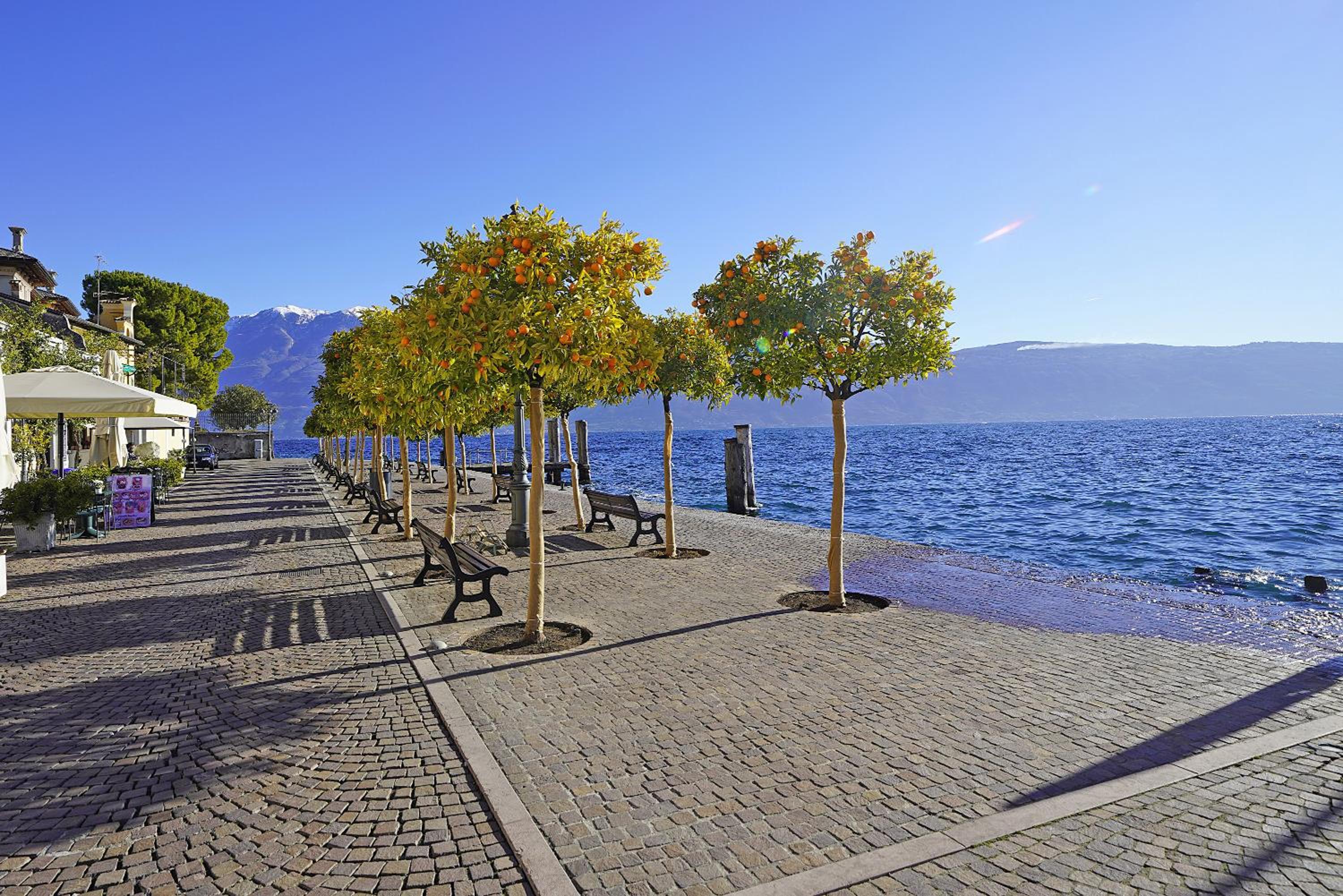 One-Bedroom Apartment with Lake View photo 2