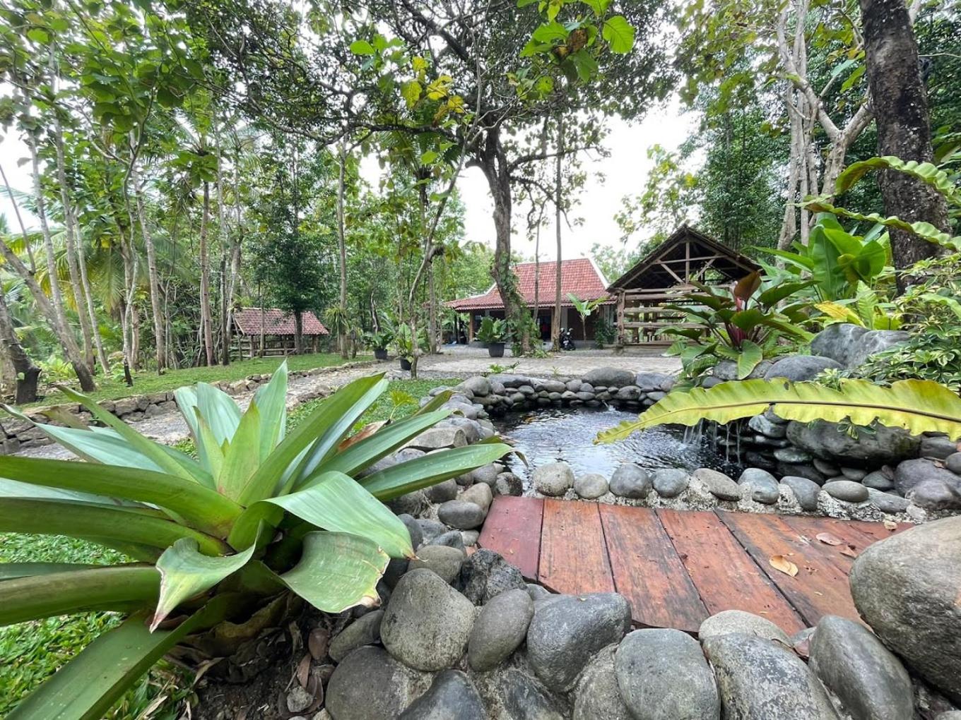 Vacation Home photo 3