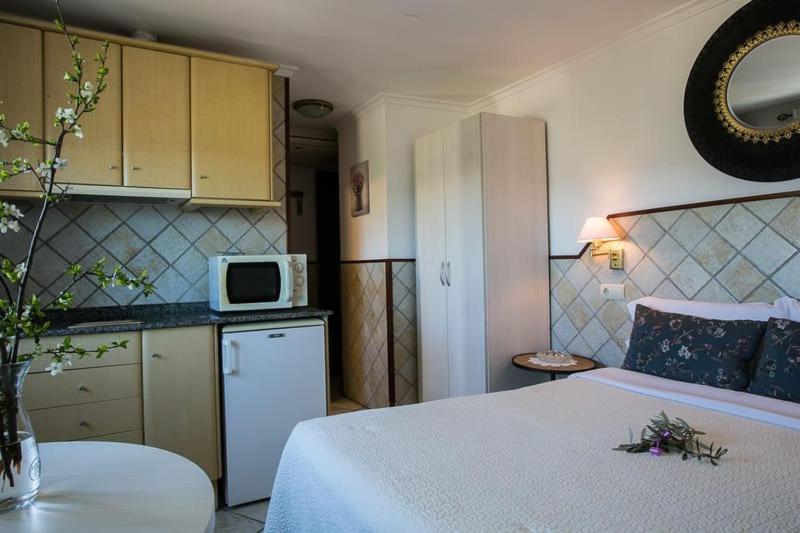Studio con cama doble y vistas a la montaña