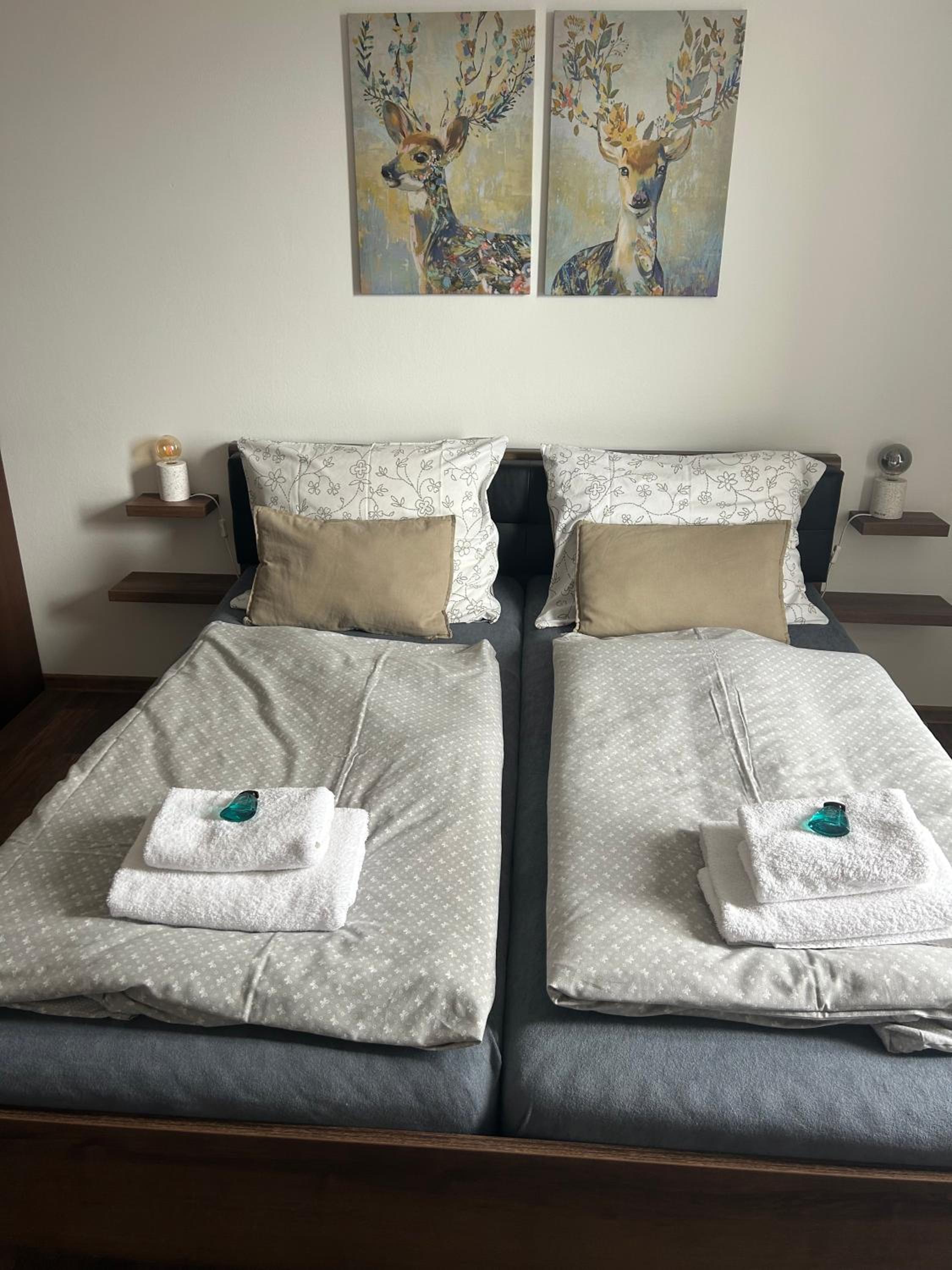 Double Room with Mountain View photo 1