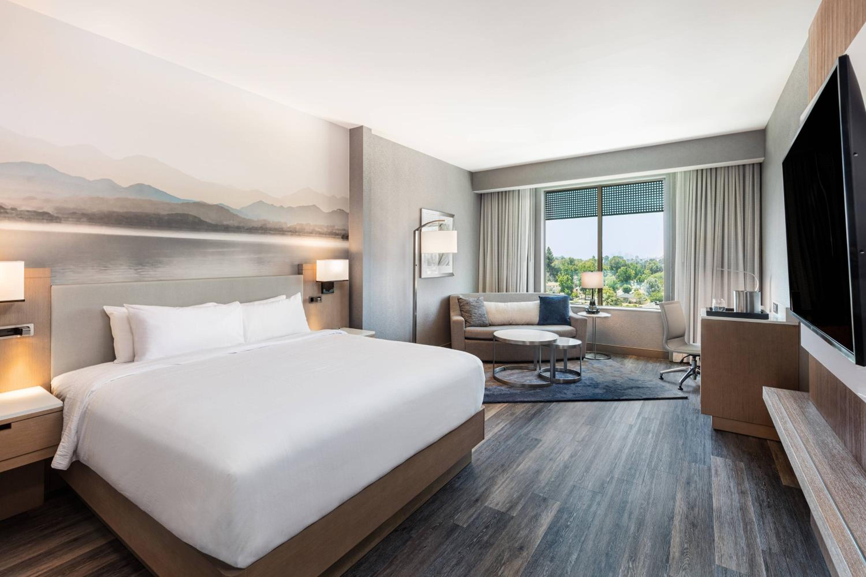 King Room with Bathtub and Sofa Bed - Mobility Access