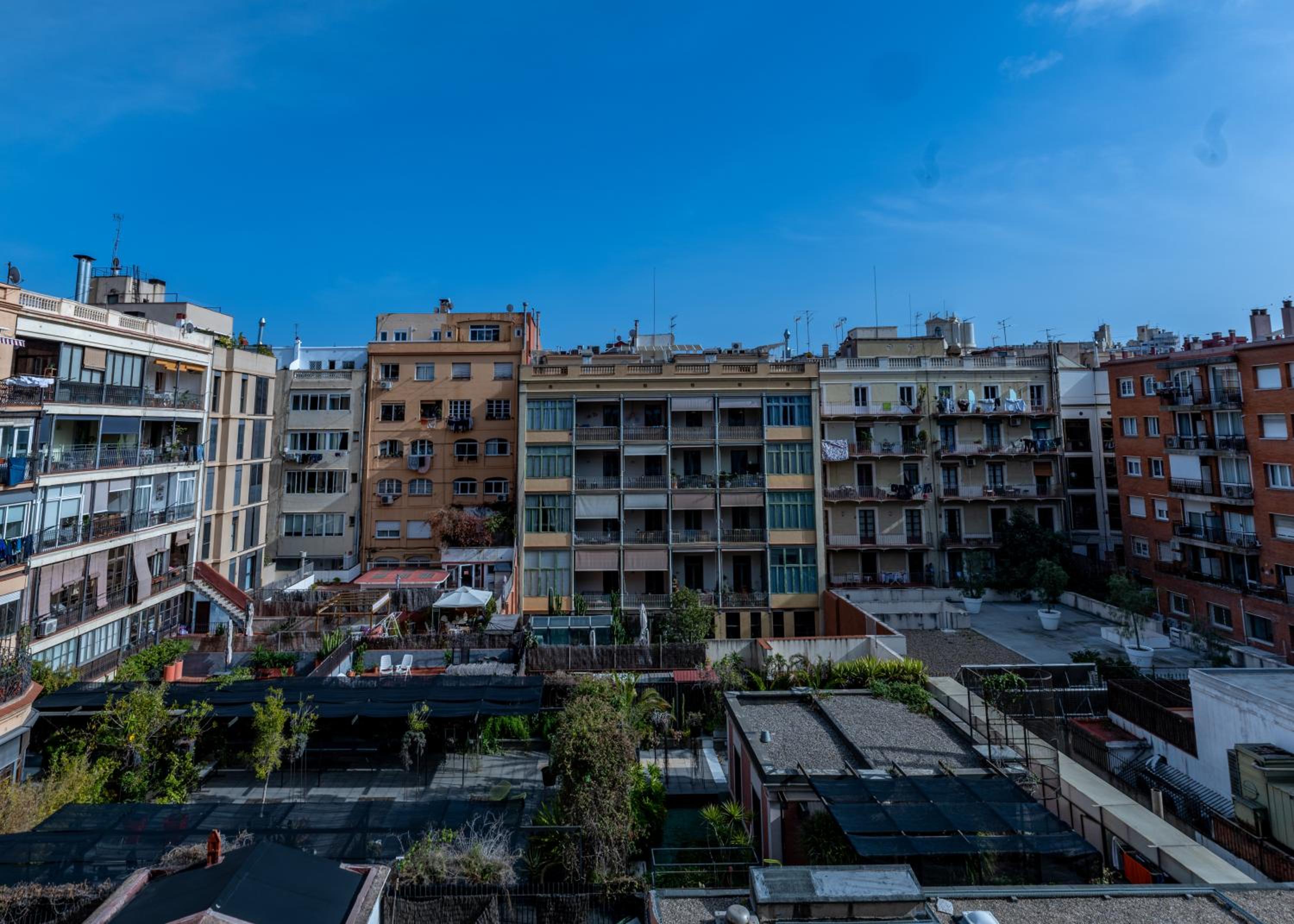 Apartment with Terrace photo 3