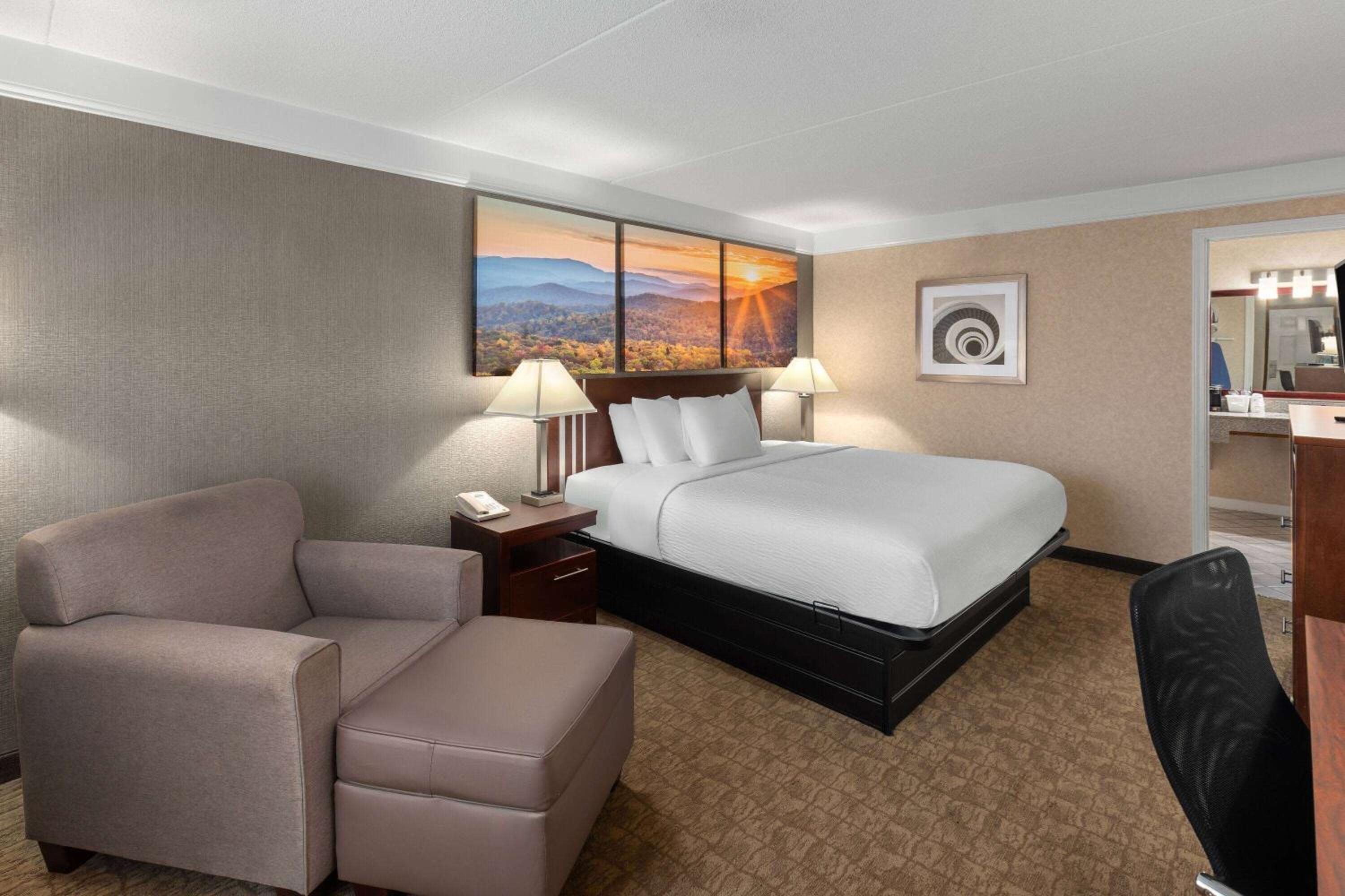 King Room with Mobility Access and Bathtub with Grab Bars, Non-Smoking