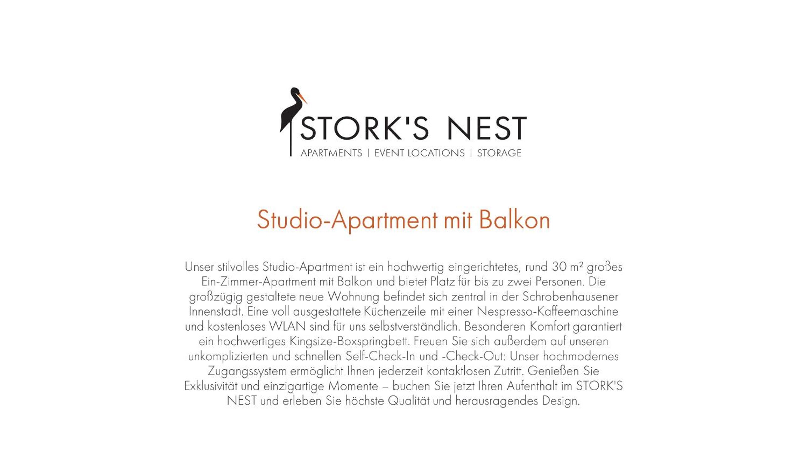 Studio Apartment photo 2