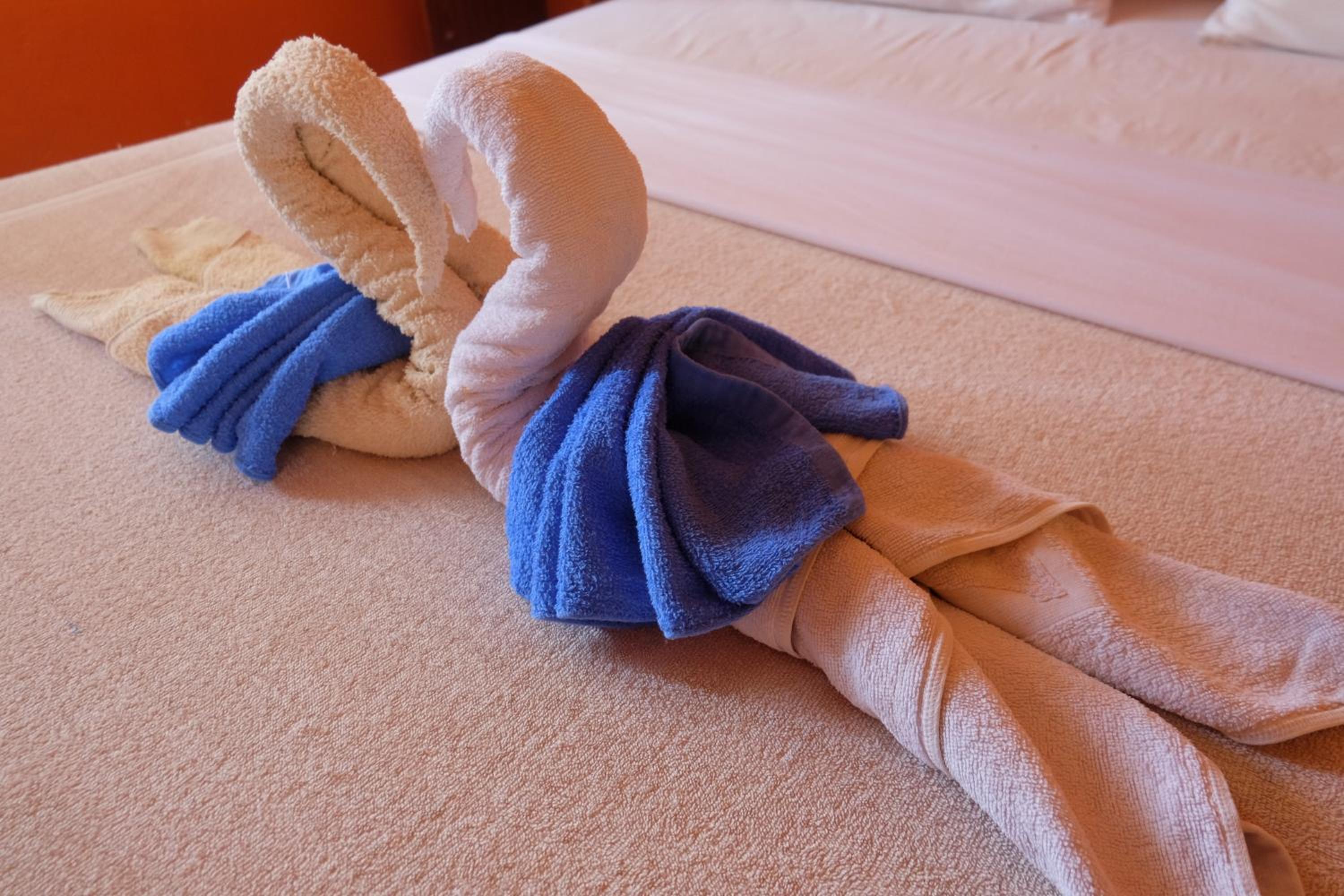Standard Double or Twin Room with Air Conditioning photo 1