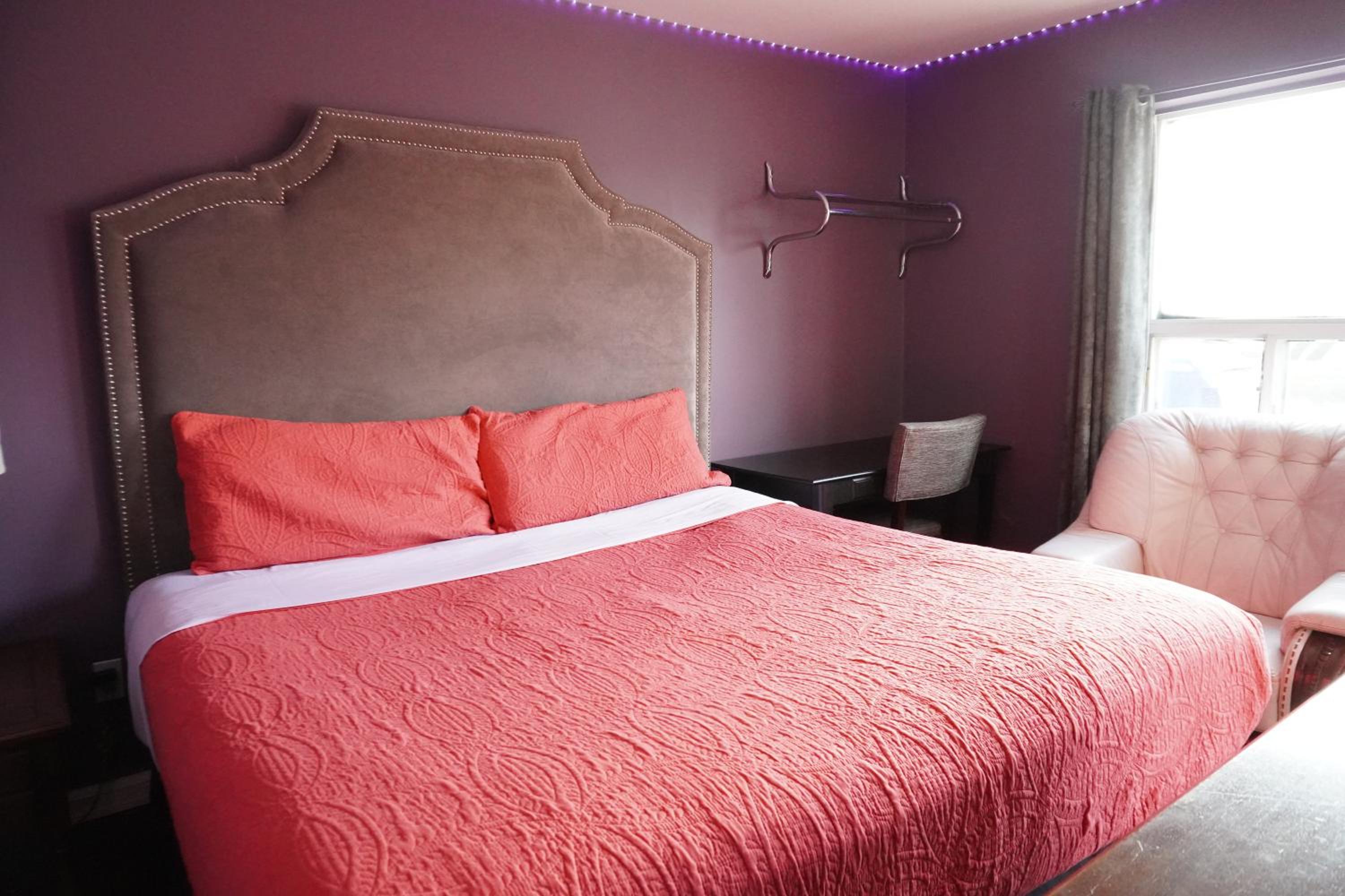King Room -  Non Smoking photo 3