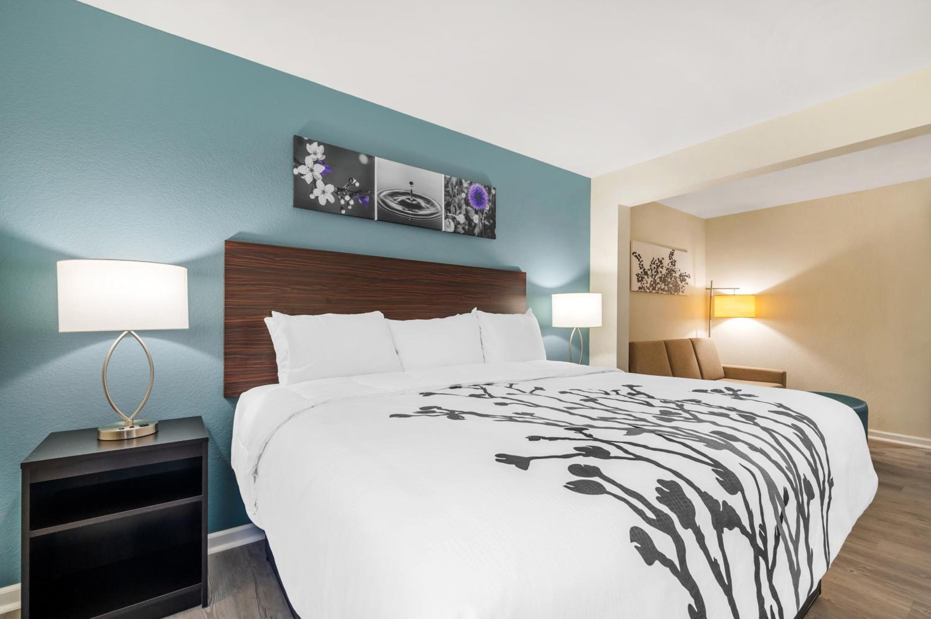 One Room Suite - Non Smoking - Photo 5
