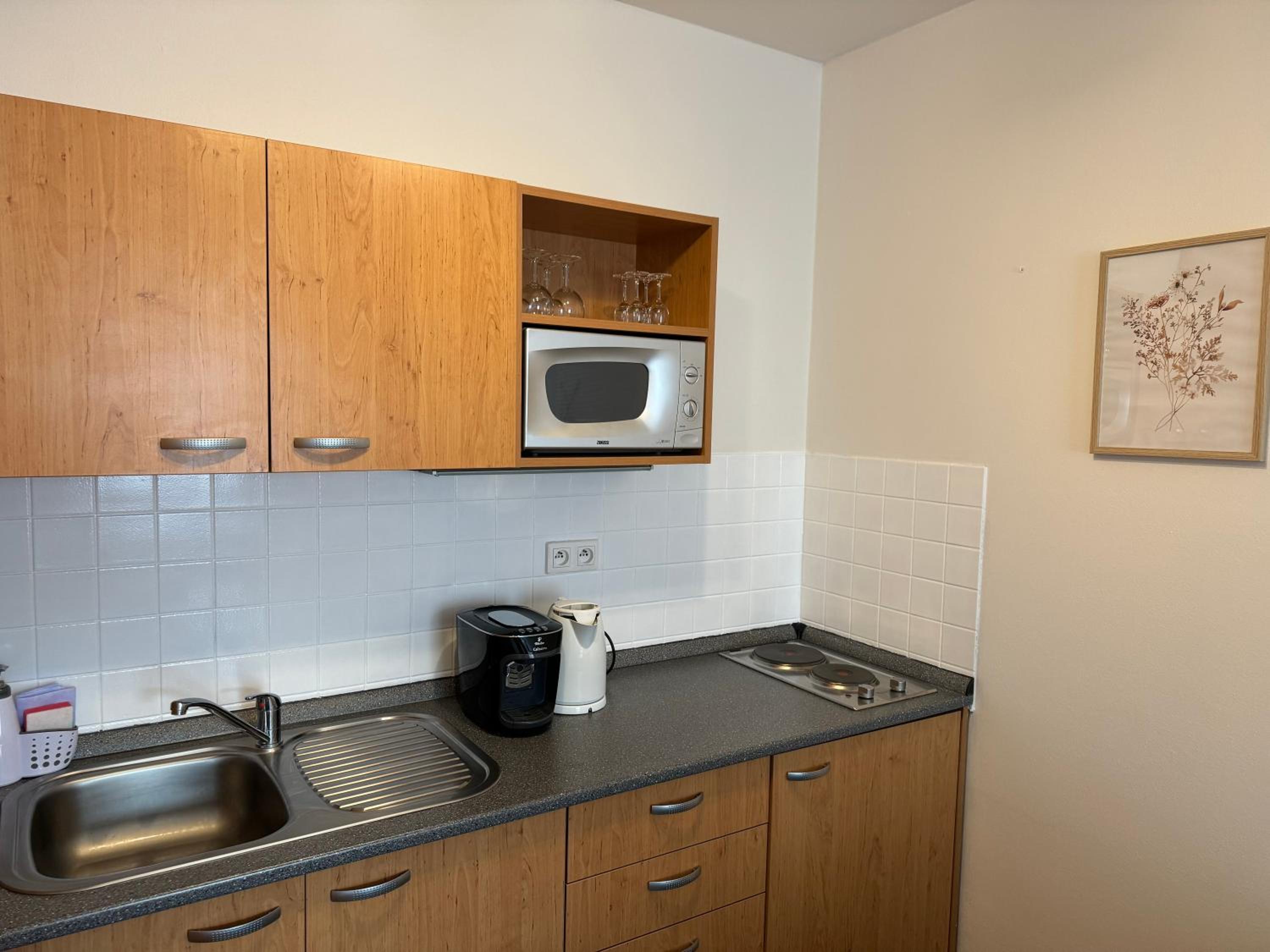 One-Bedroom Apartment photo 3