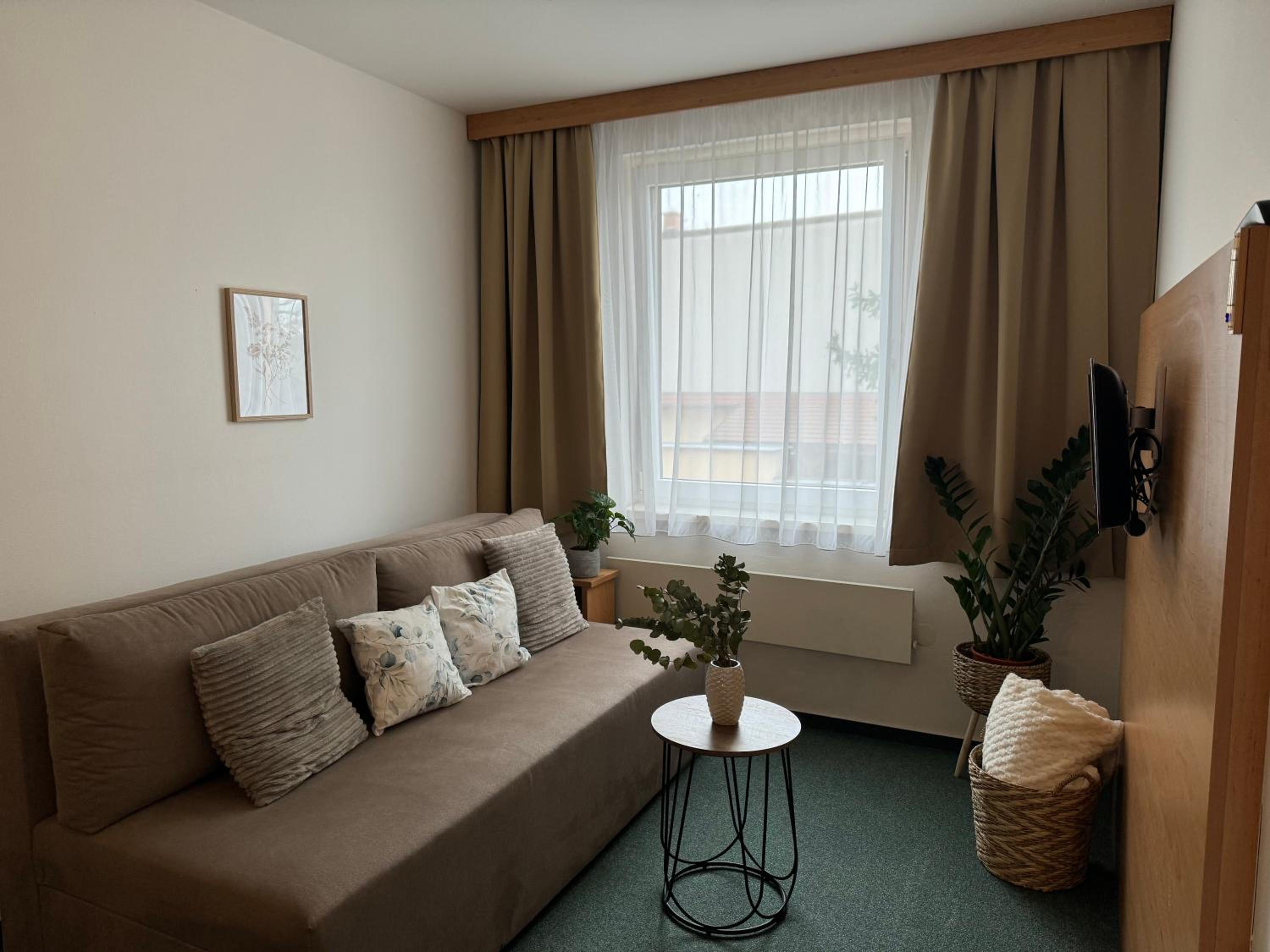One-Bedroom Apartment photo 2