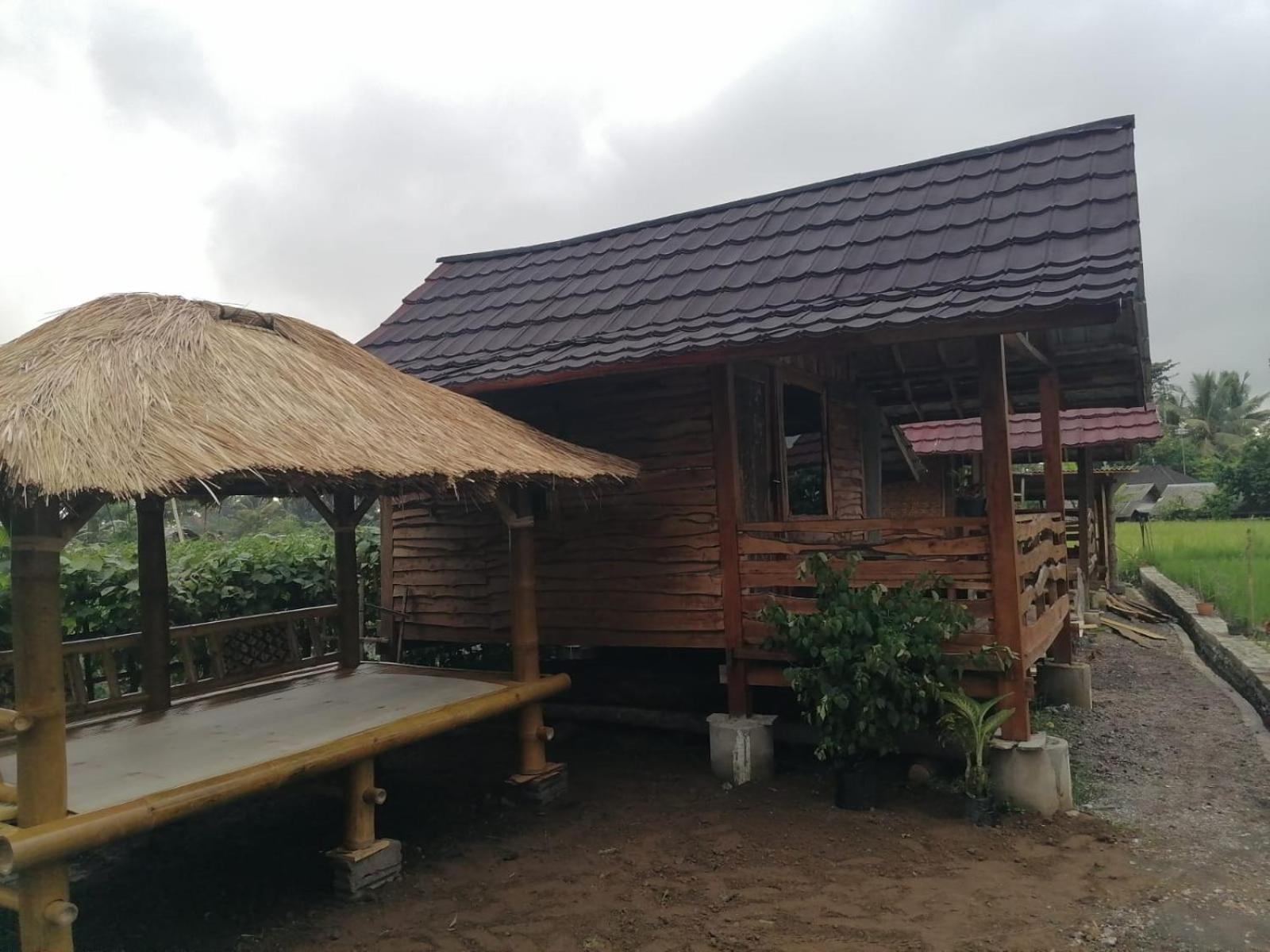 Double Room with Mountain View photo 2