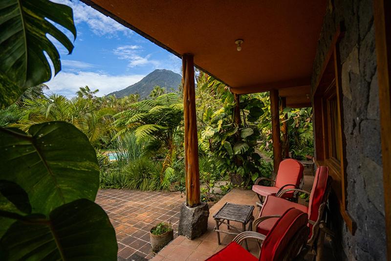 Quadruple Room with Garden View