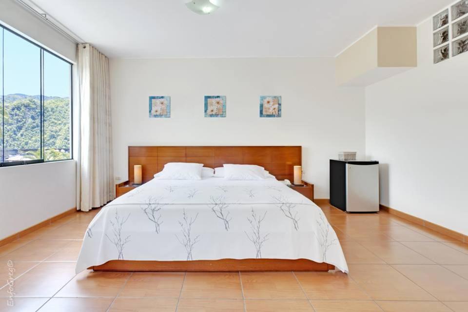 Superior Single Room photo 3