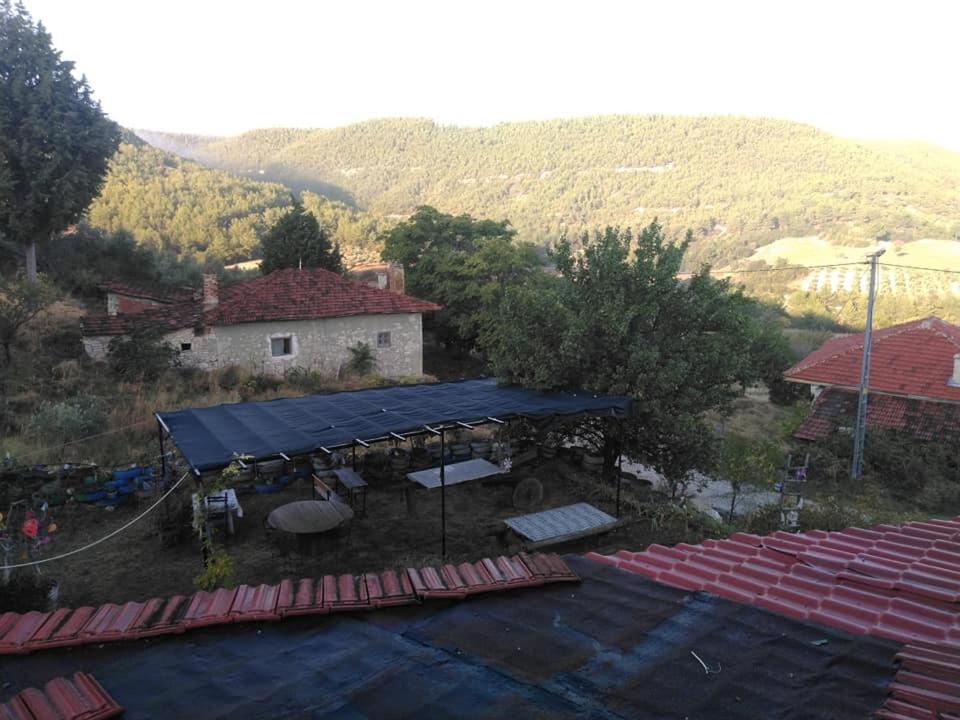 Standard Single Room with Mountain View photo 3