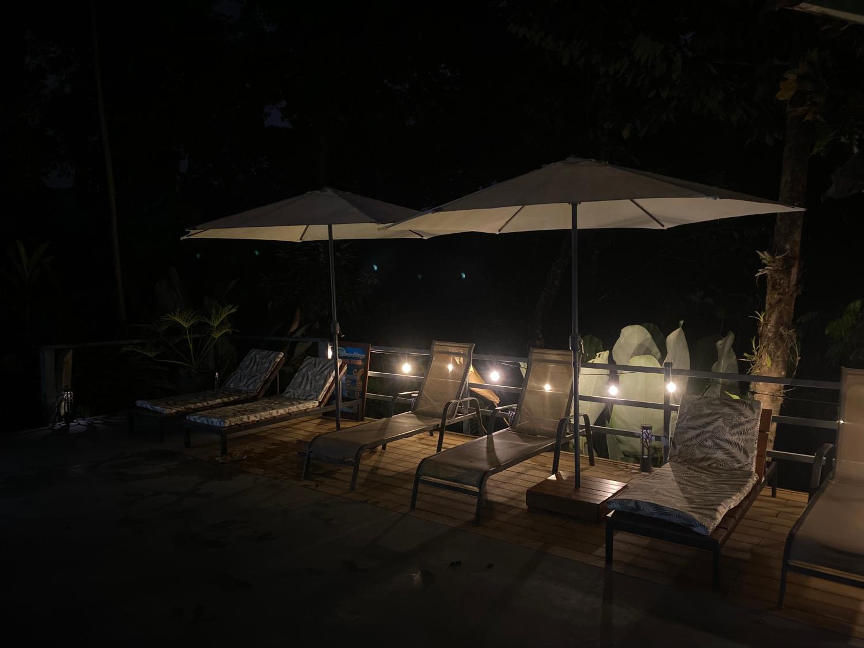 Superior Villa photo 3