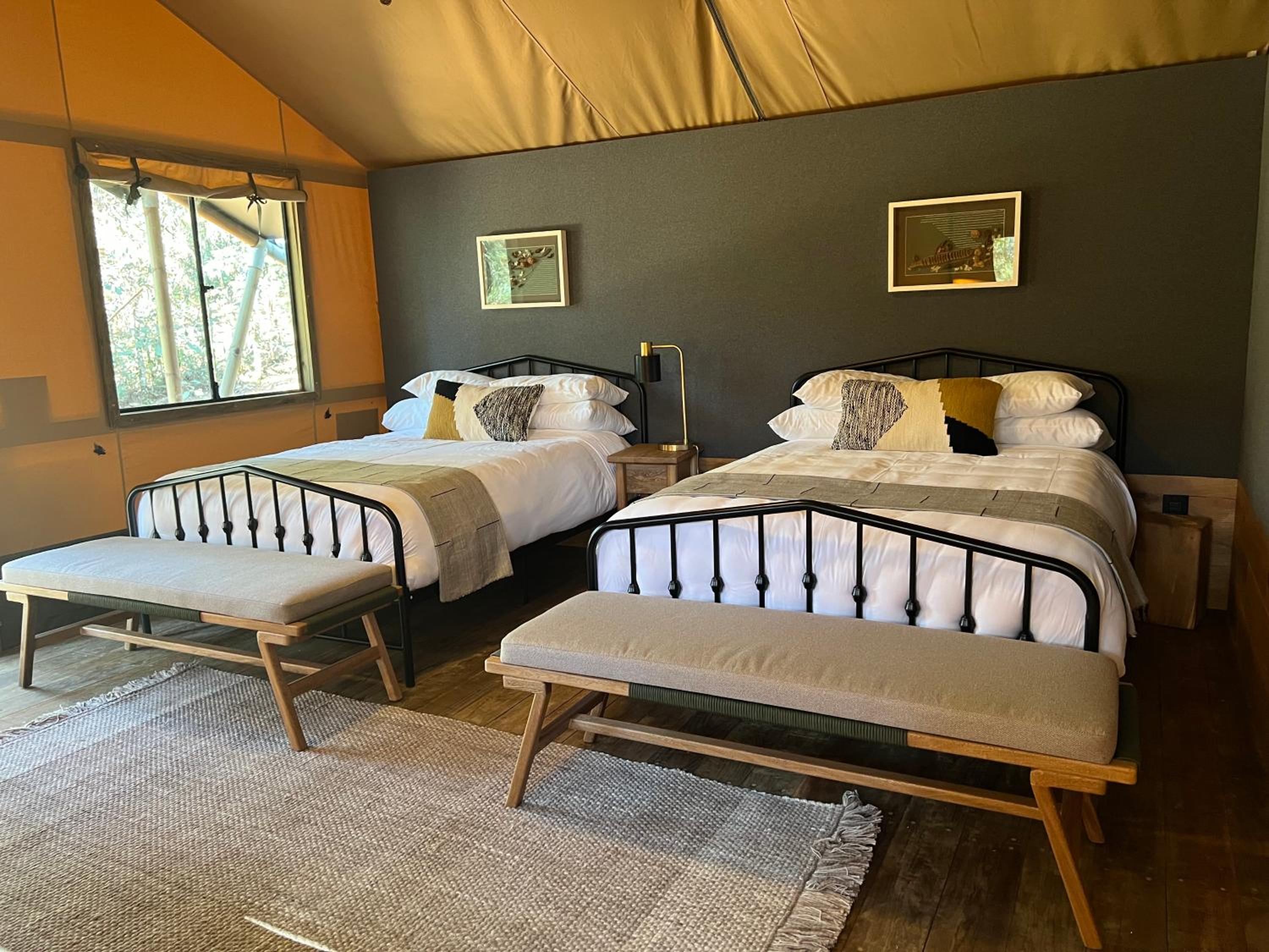 Standard Double Suite - Photo 1