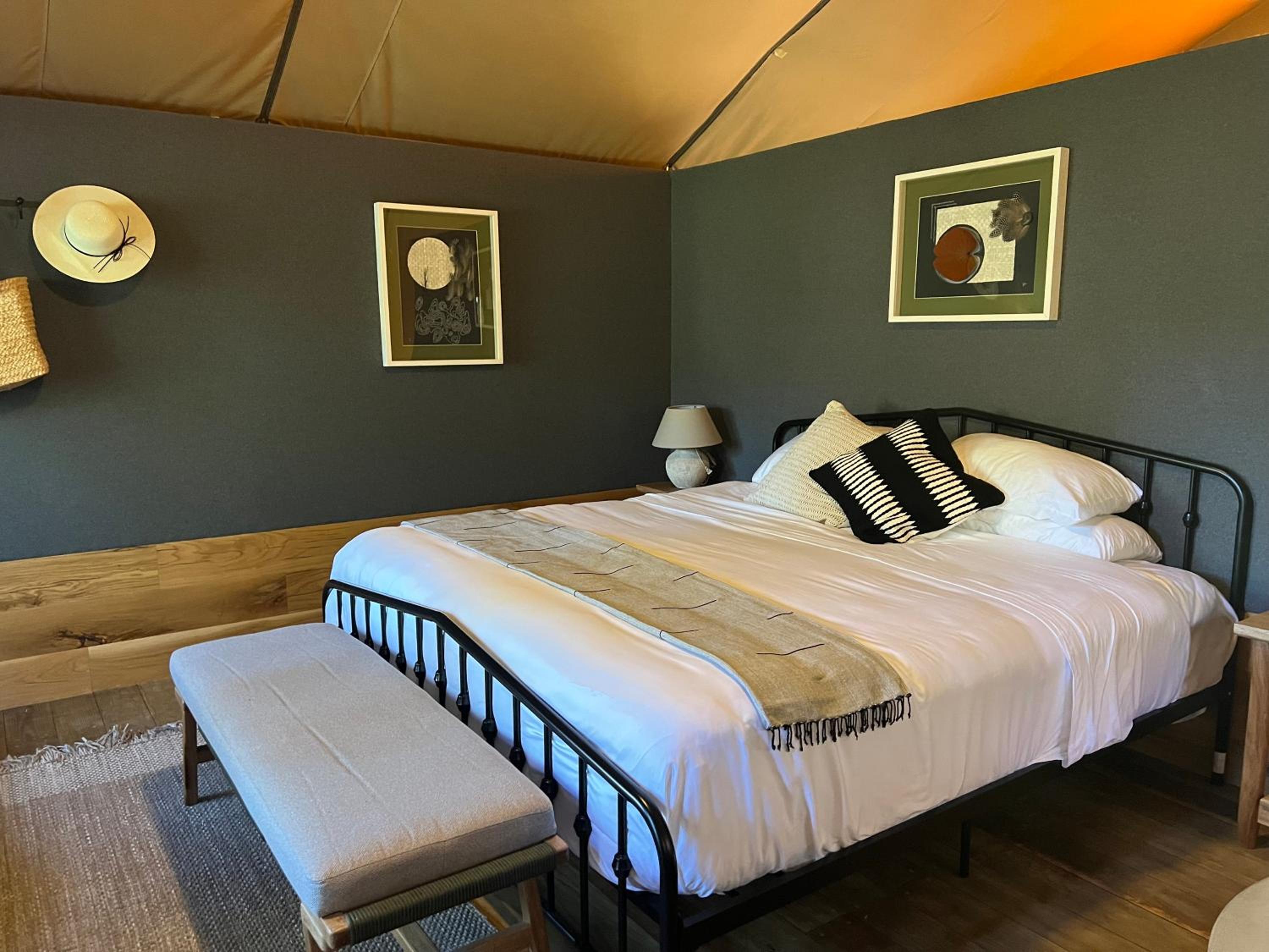 Standard Suite - Photo 12