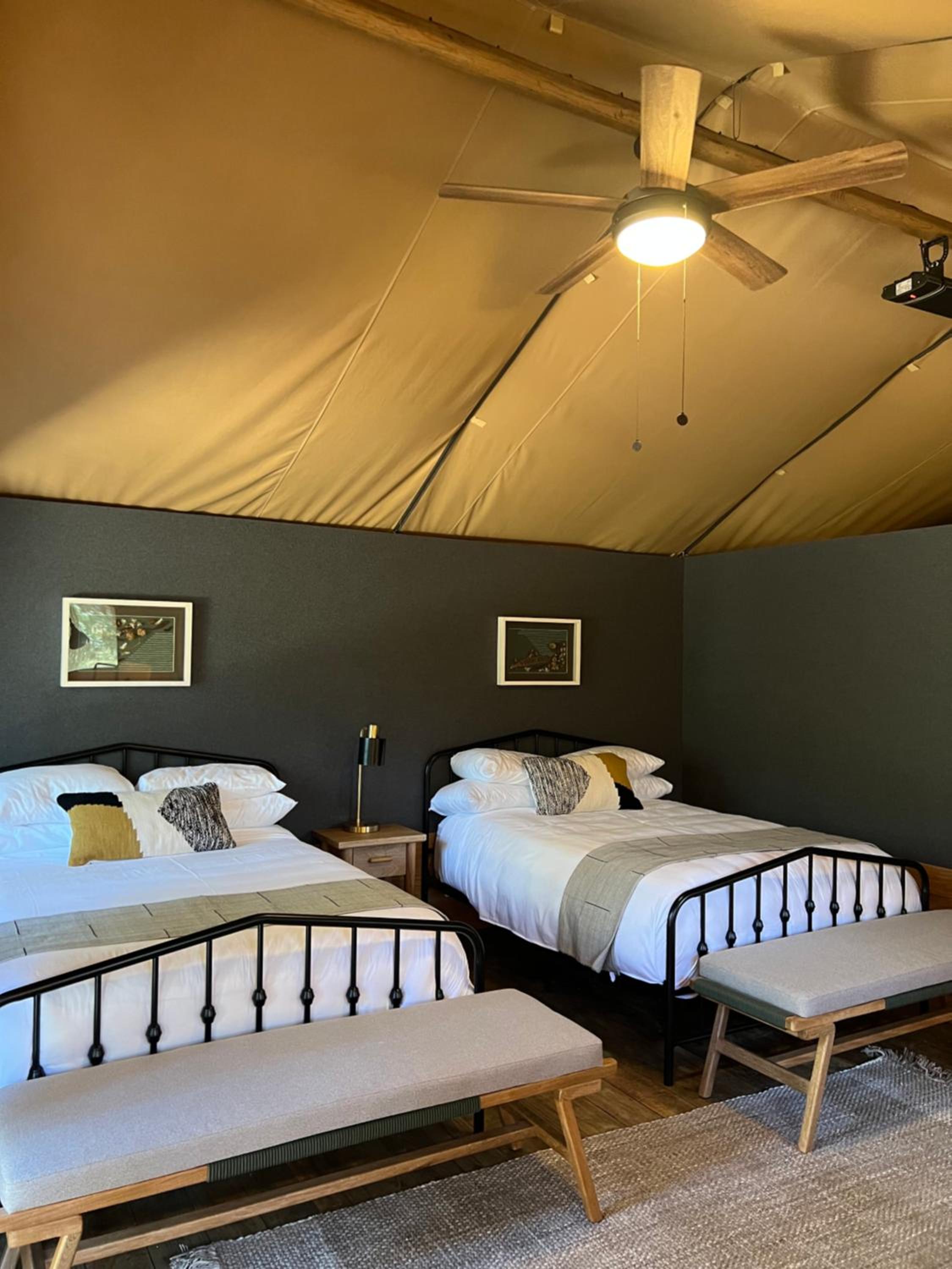 Standard Double Suite - Photo 2
