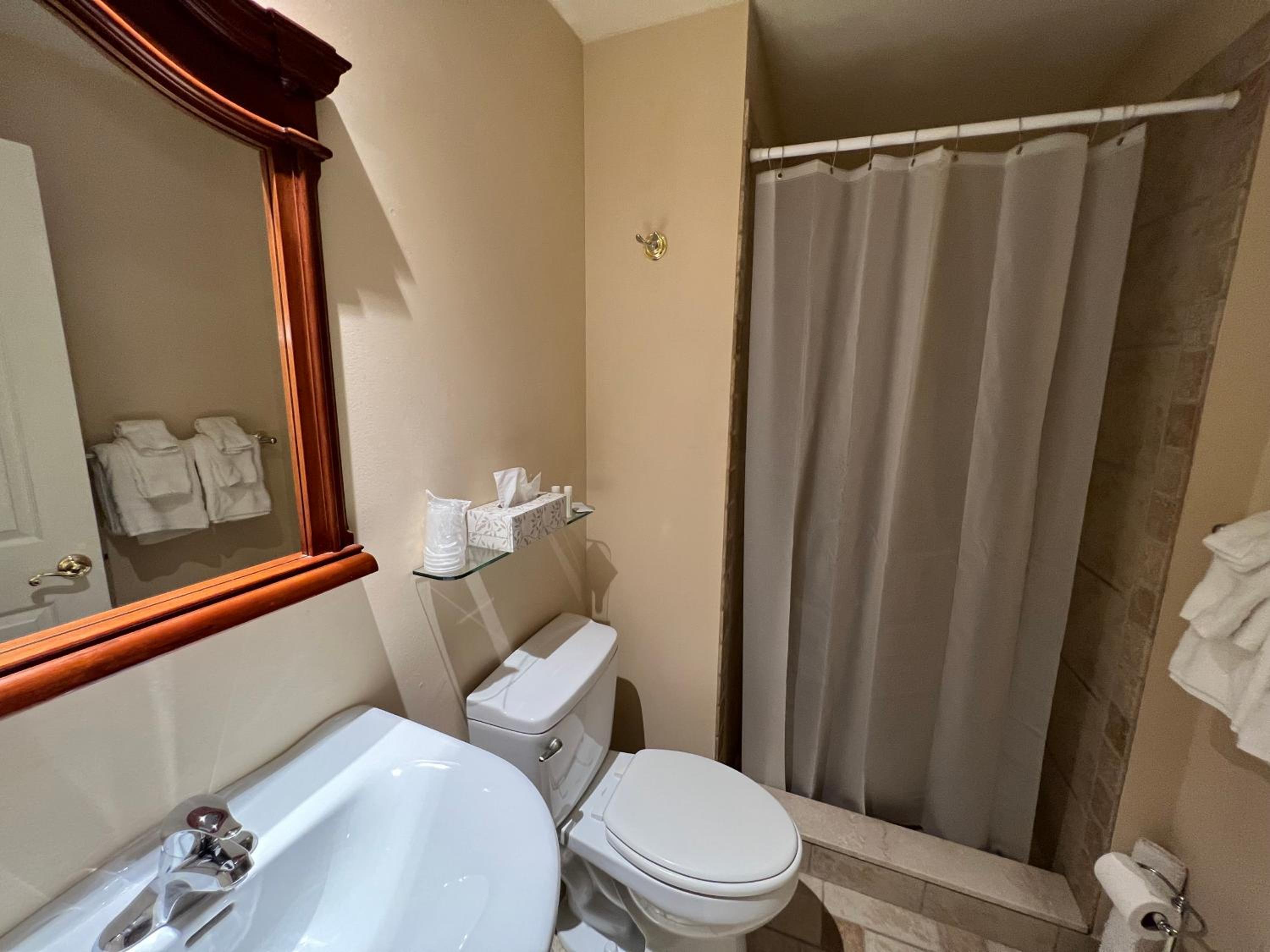 Deluxe King Room - Photo 15