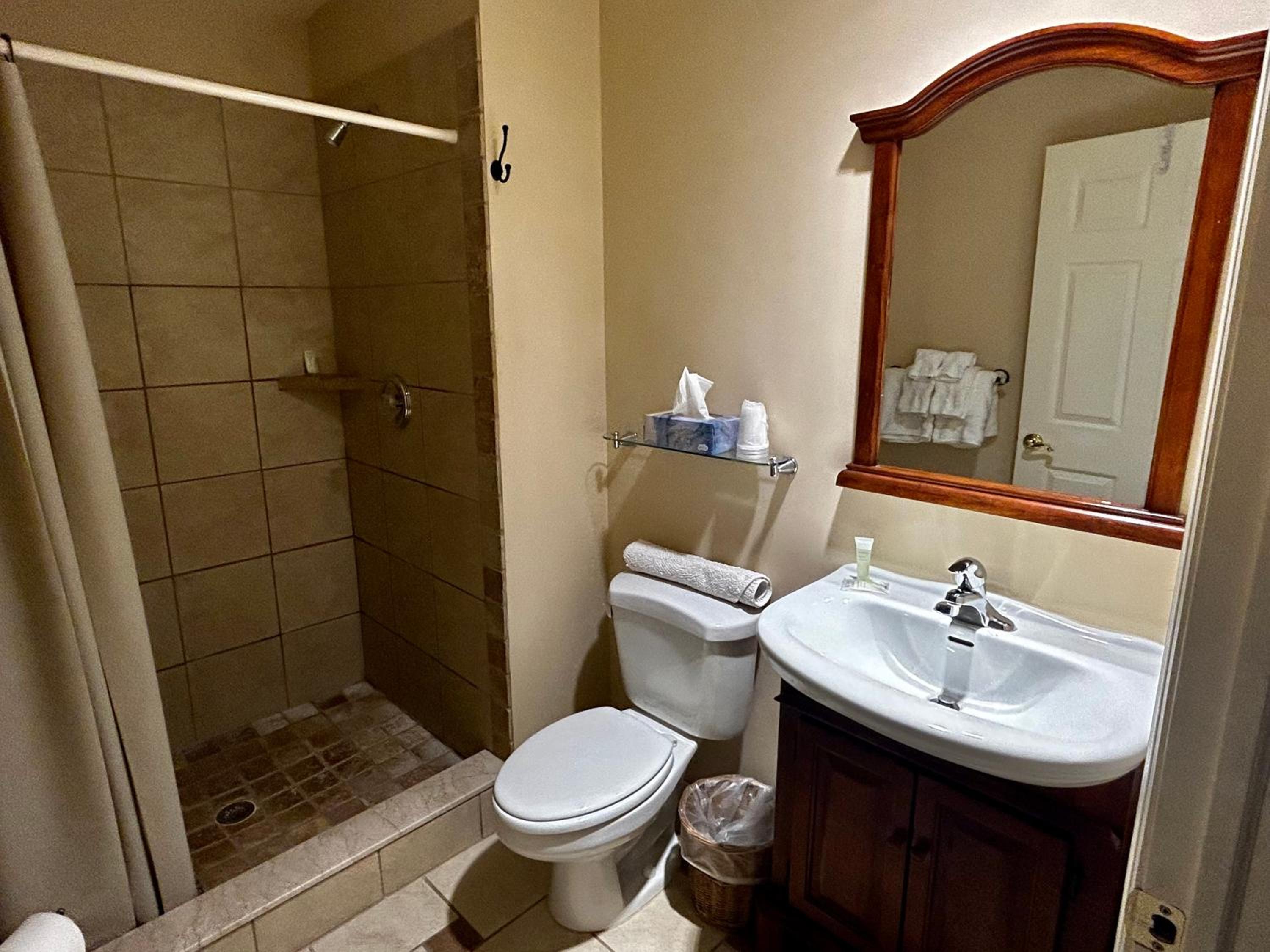 Deluxe King Room - Photo 17