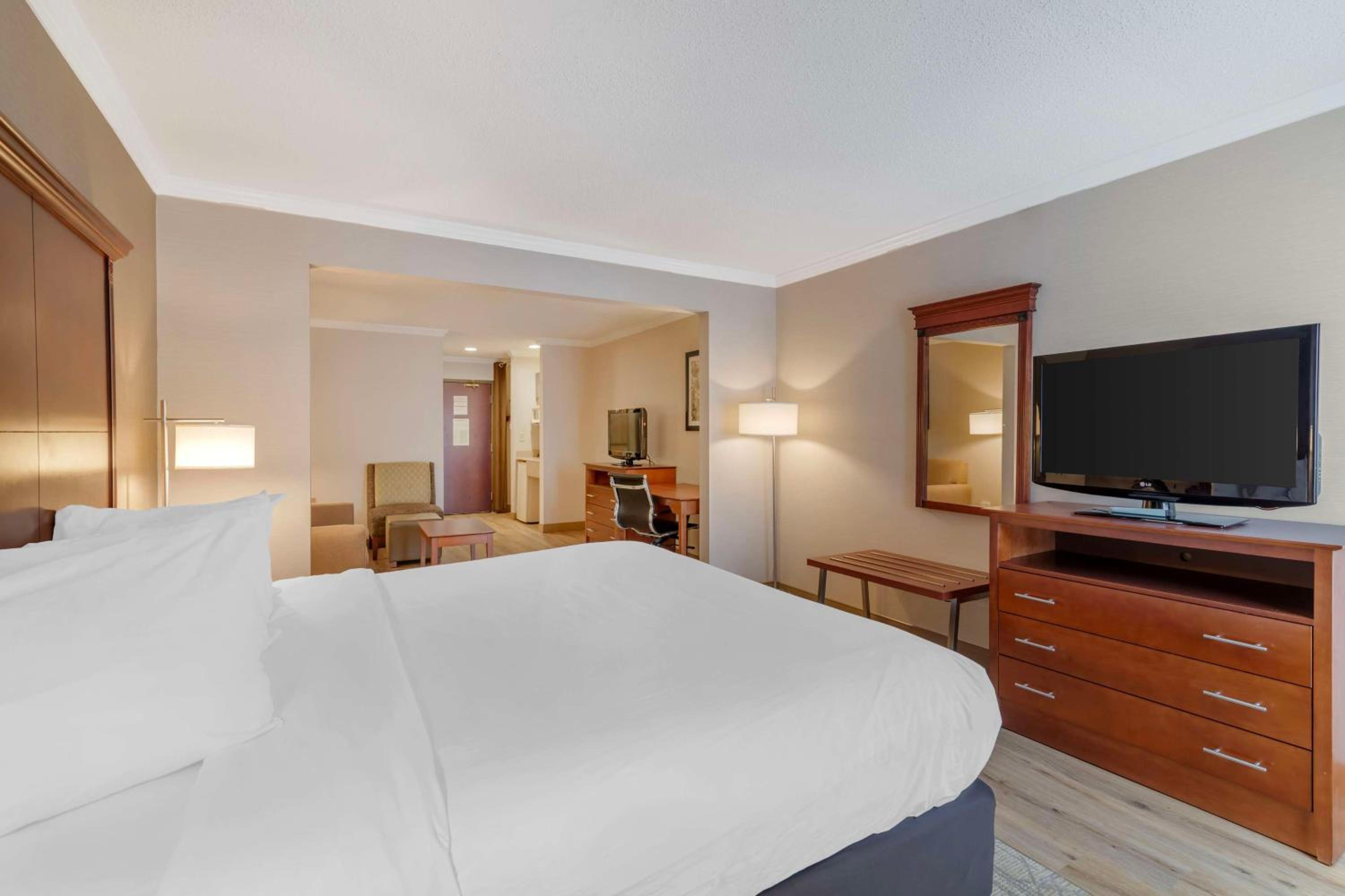 King Suite with Sofa-Bed - Non-Smoking - Photo 6