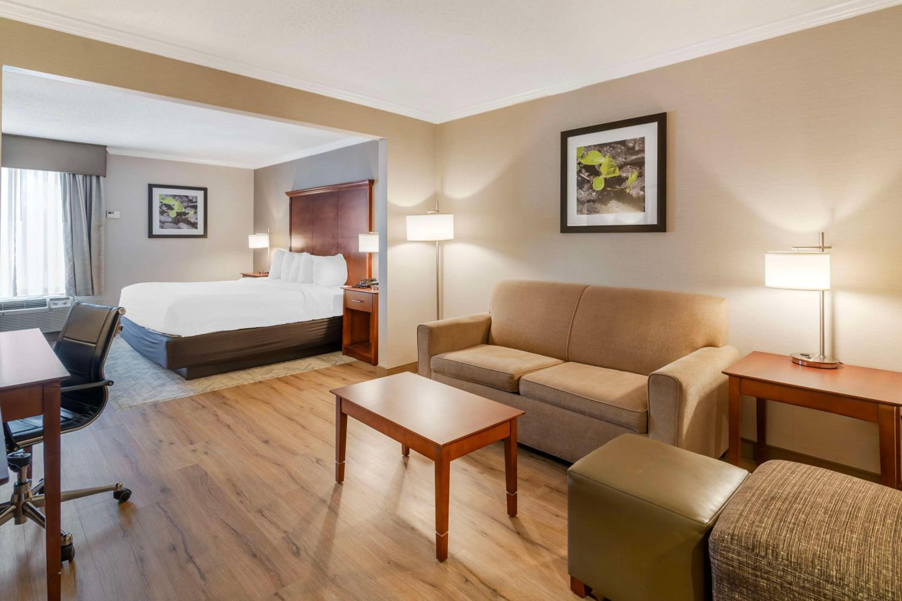 King Suite with Sofa-Bed - Non-Smoking - Photo 3