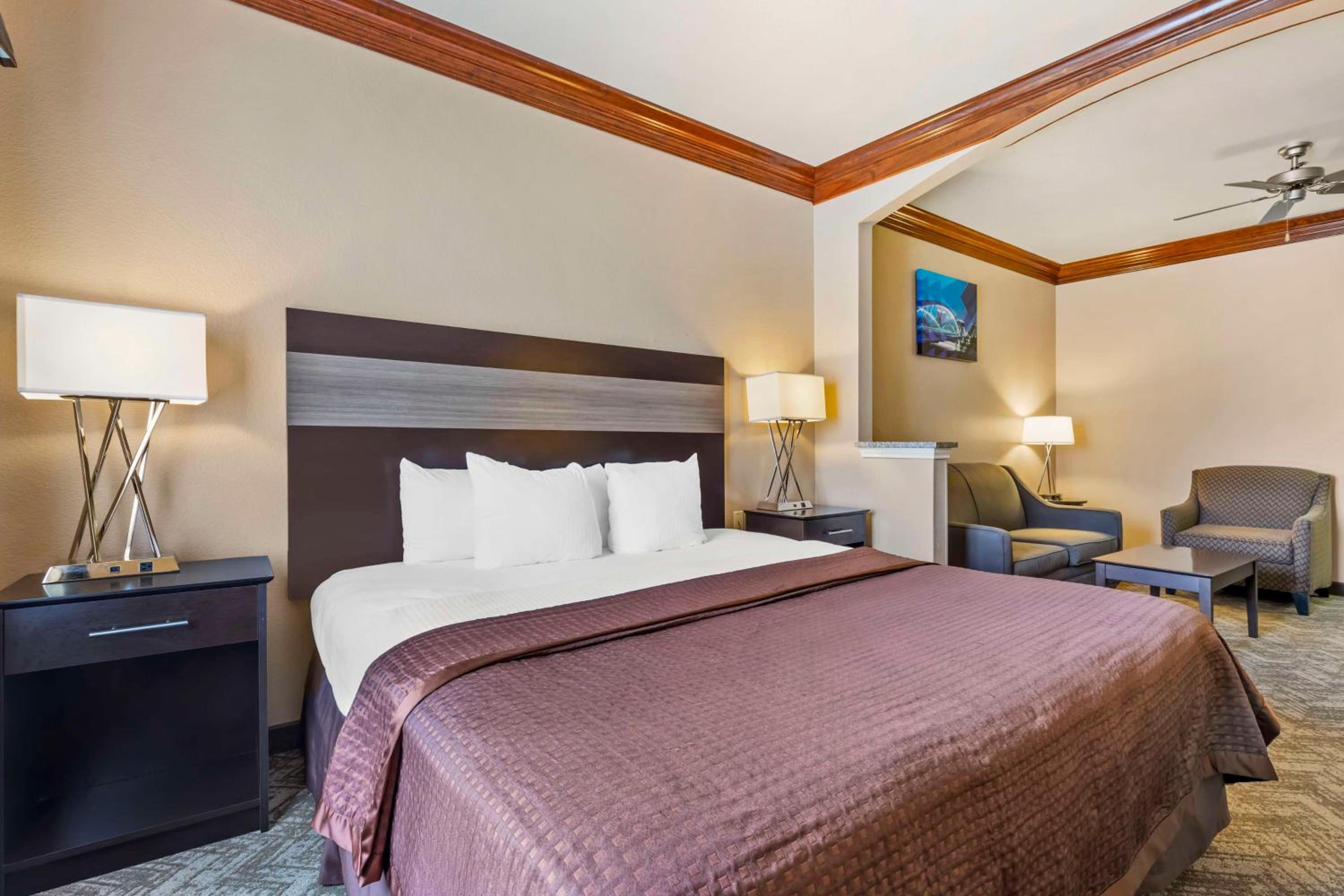King Suite - Photo 4