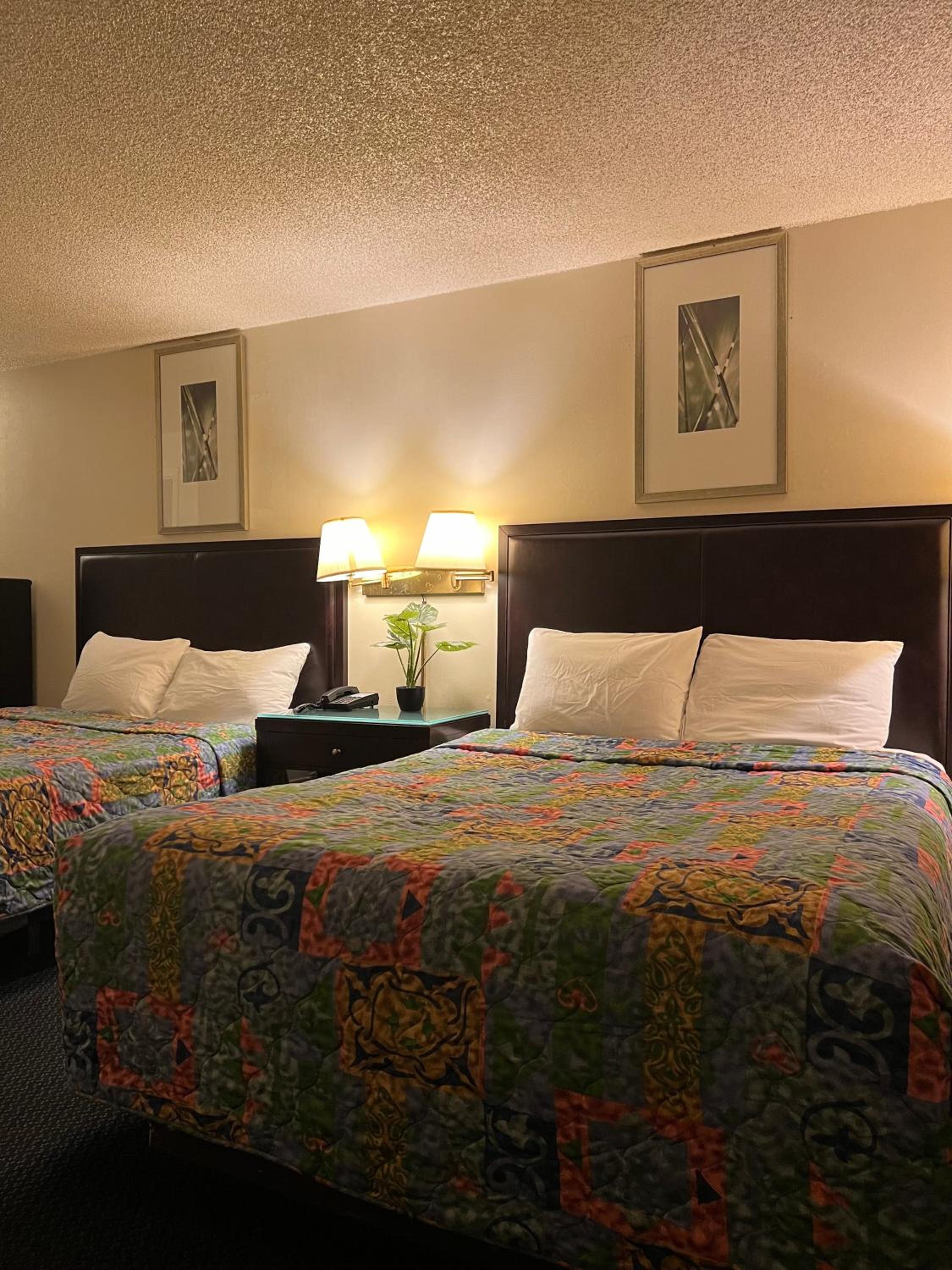 Queen Room with Two Queen Beds photo 1