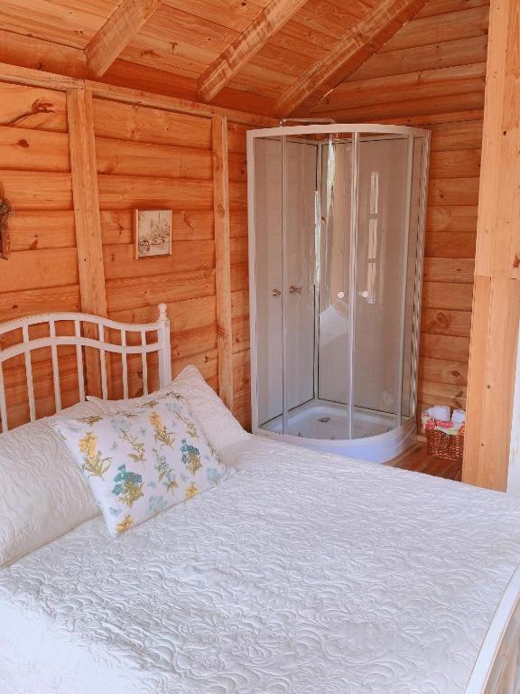 Standard Double or Twin Room photo 1