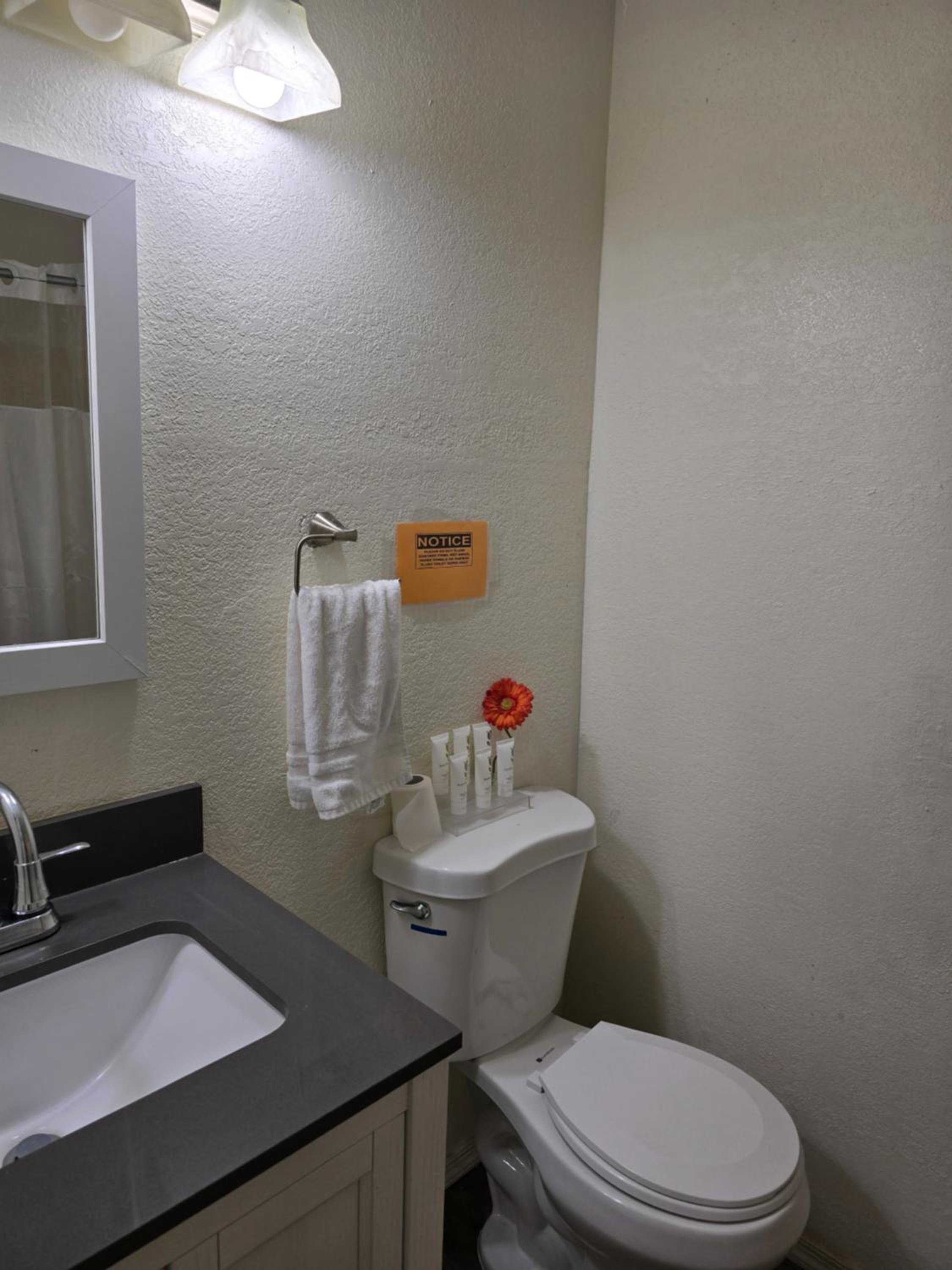 Deluxe Double Room - Photo 7