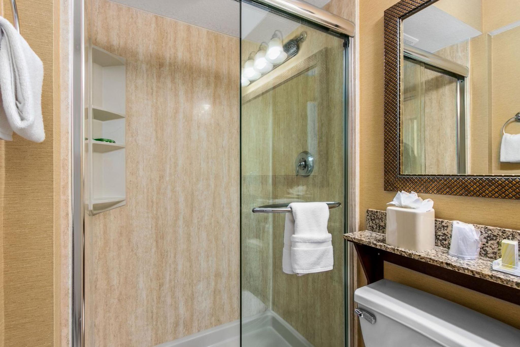 One-Bedroom Suite with Balcony - Photo 6