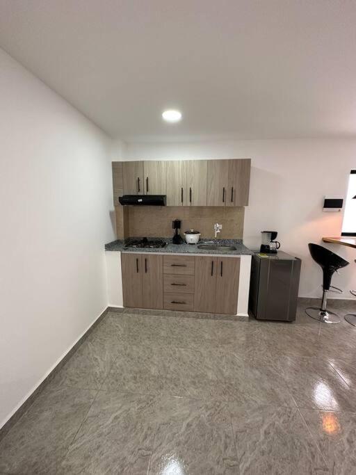 One-Bedroom Apartment photo 3