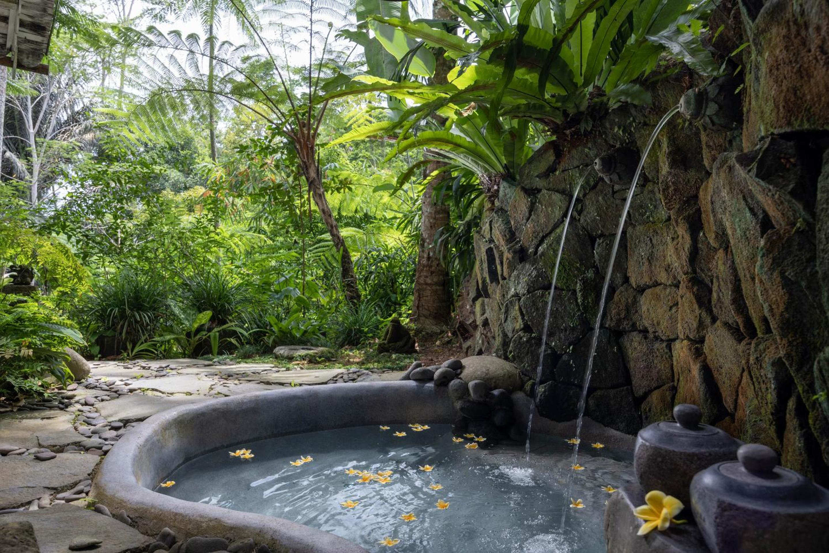 One-Bedroom Jungle Villa with Welcome Massage  - Photo 4