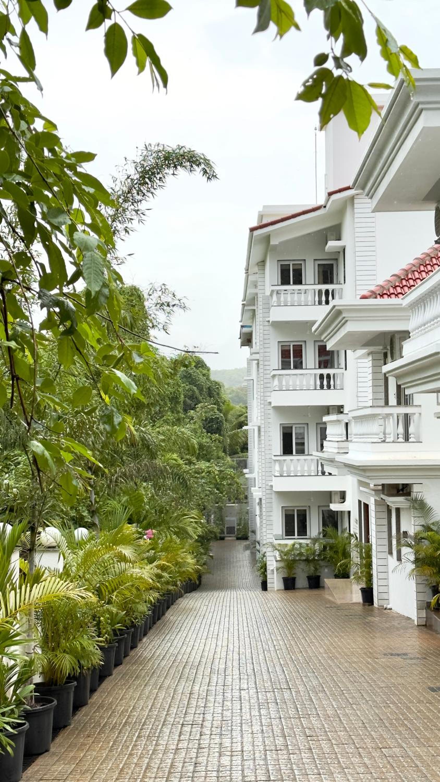 Apartment With Mountain View photo 2