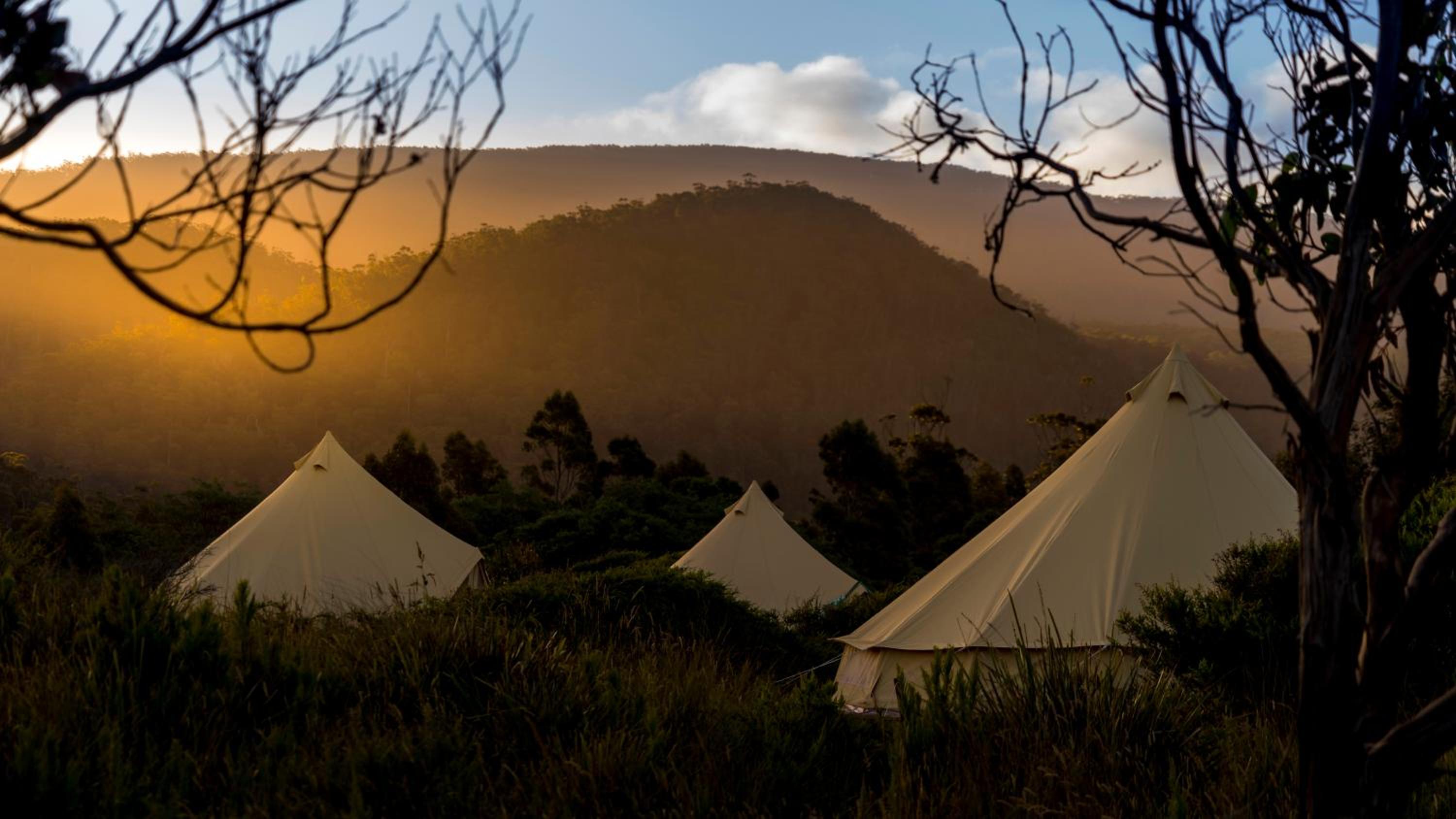 Twin garden view tent photo 2