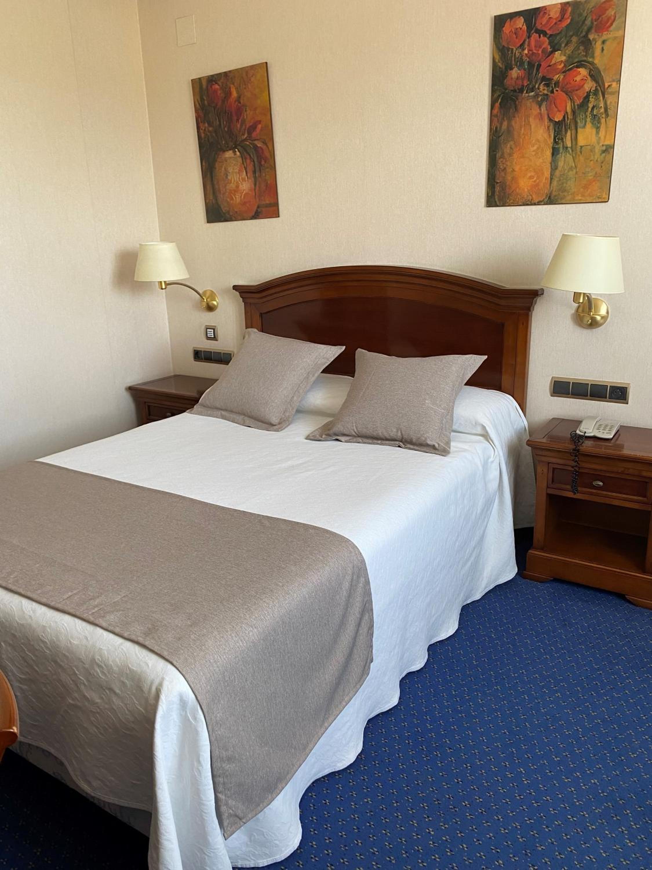 Single Room photo 2