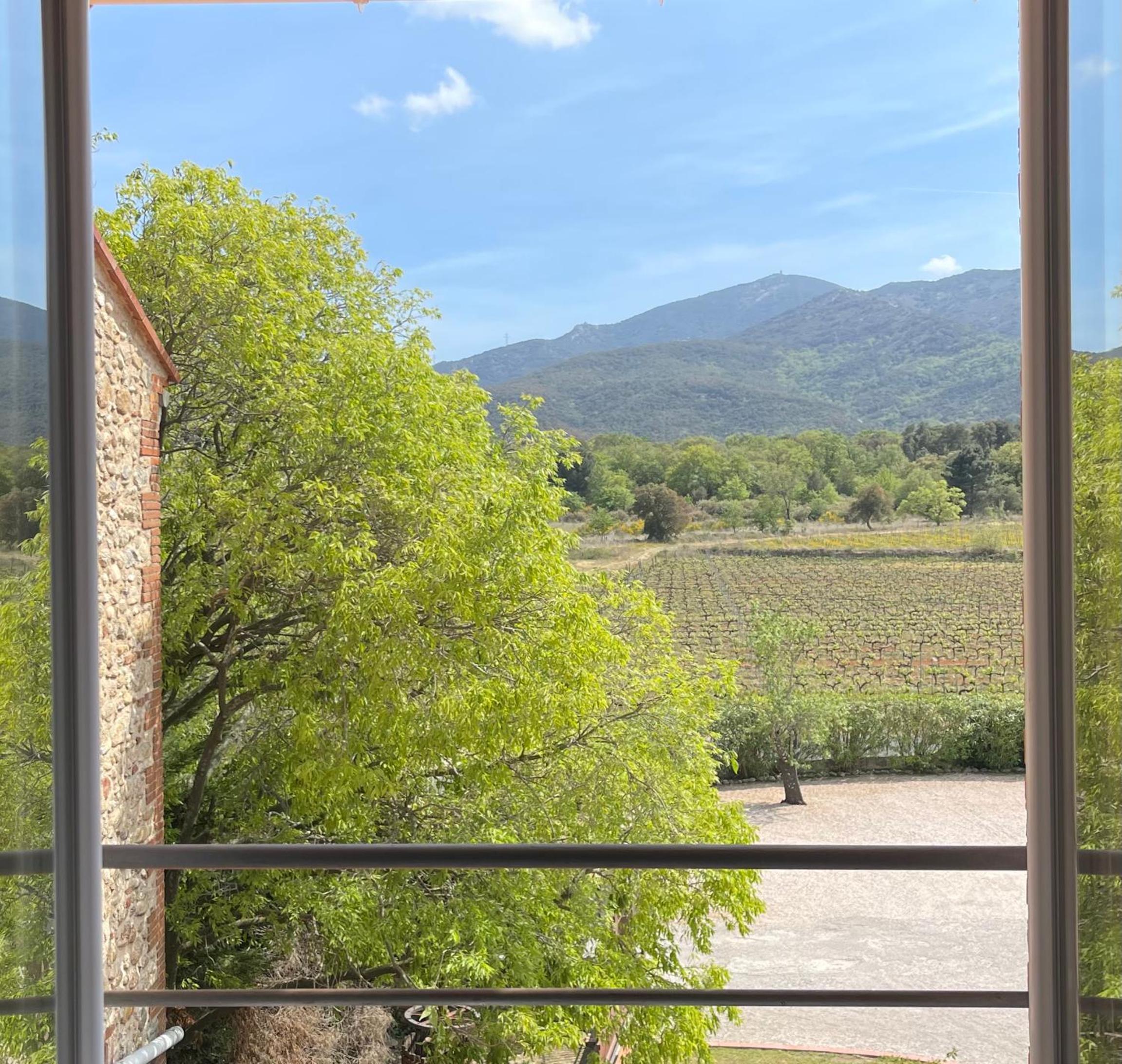 Superior Room with Mountain View - Photo 10
