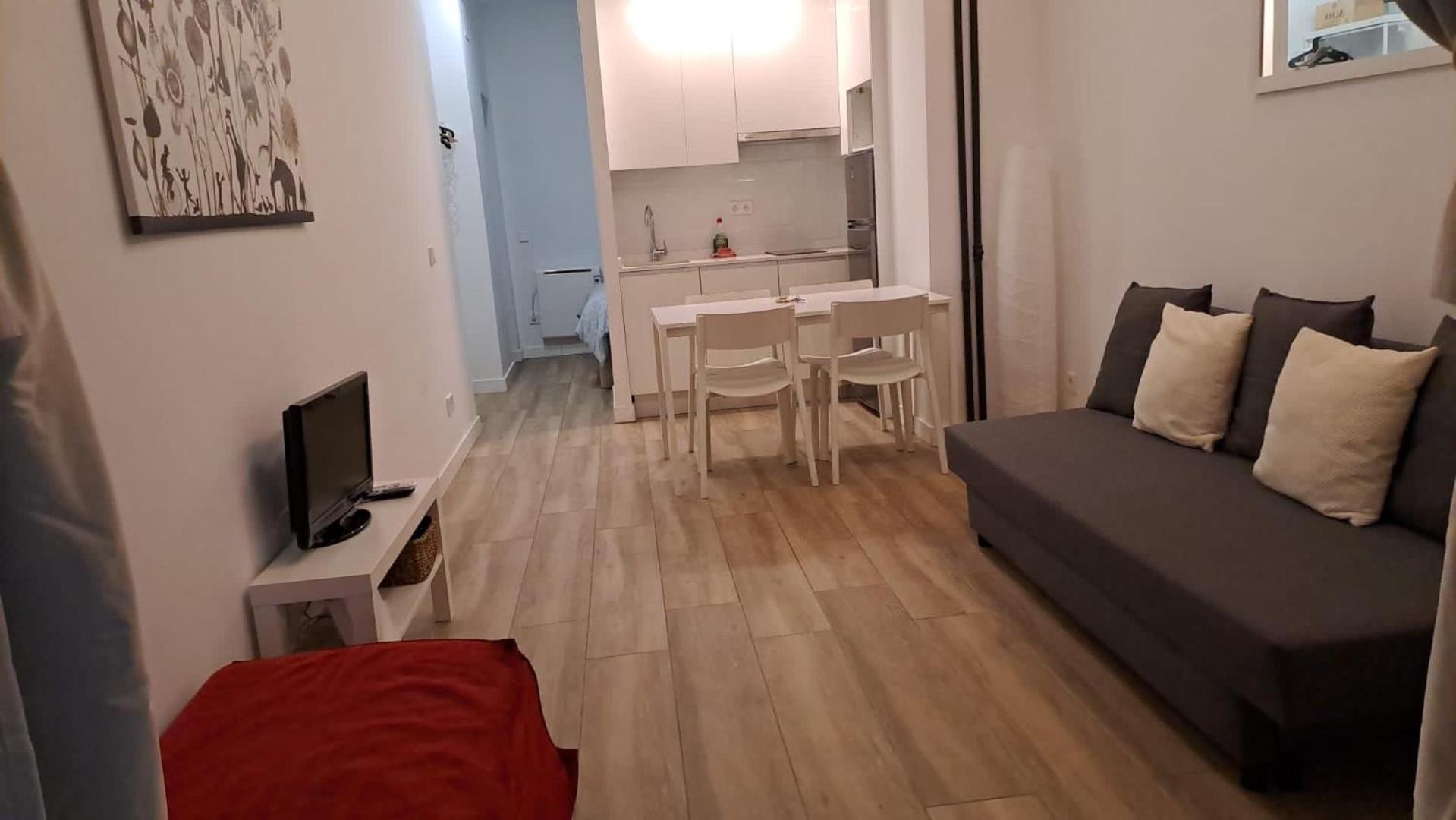 Apartamento de una habitación