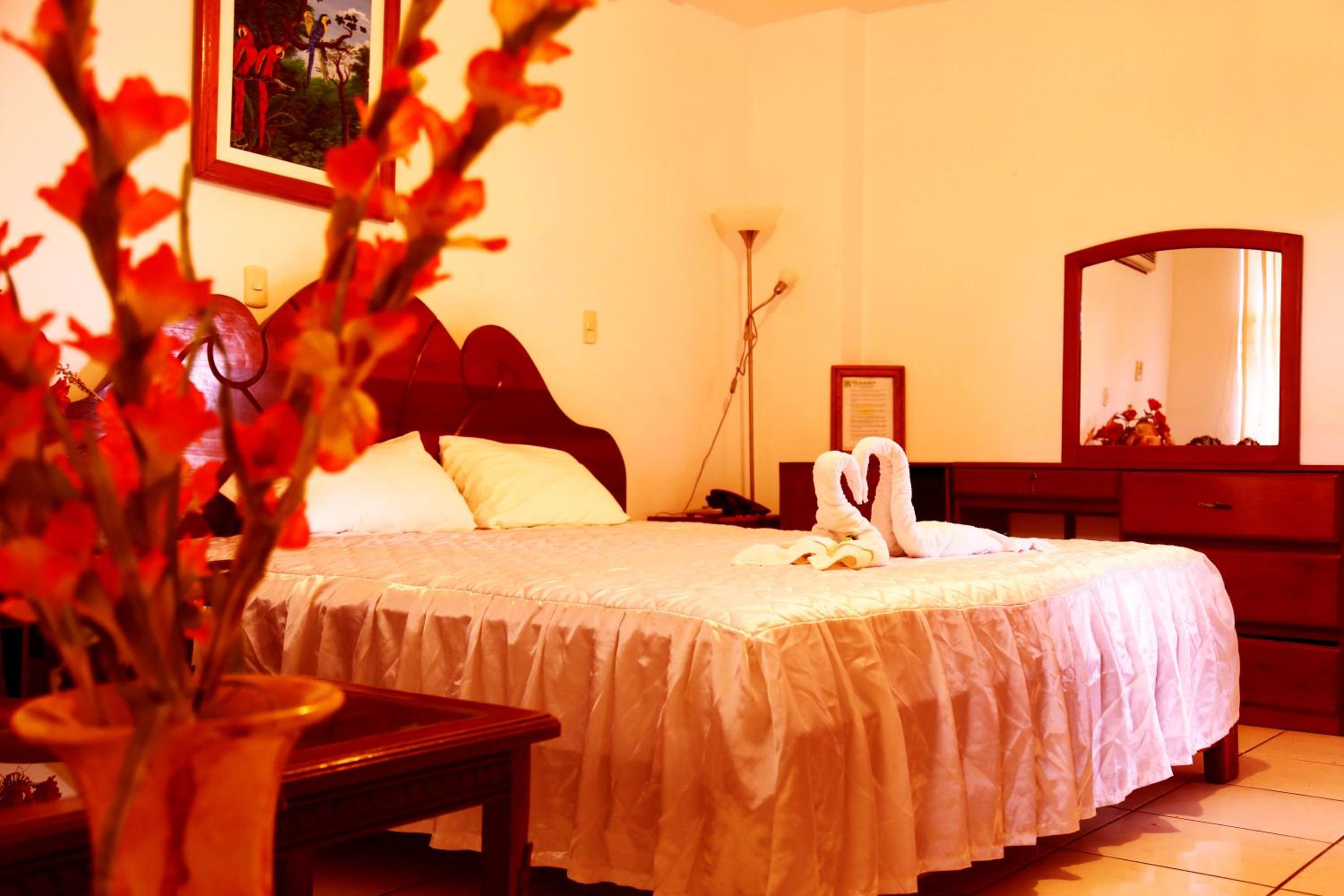 Superior Double Room photo 1