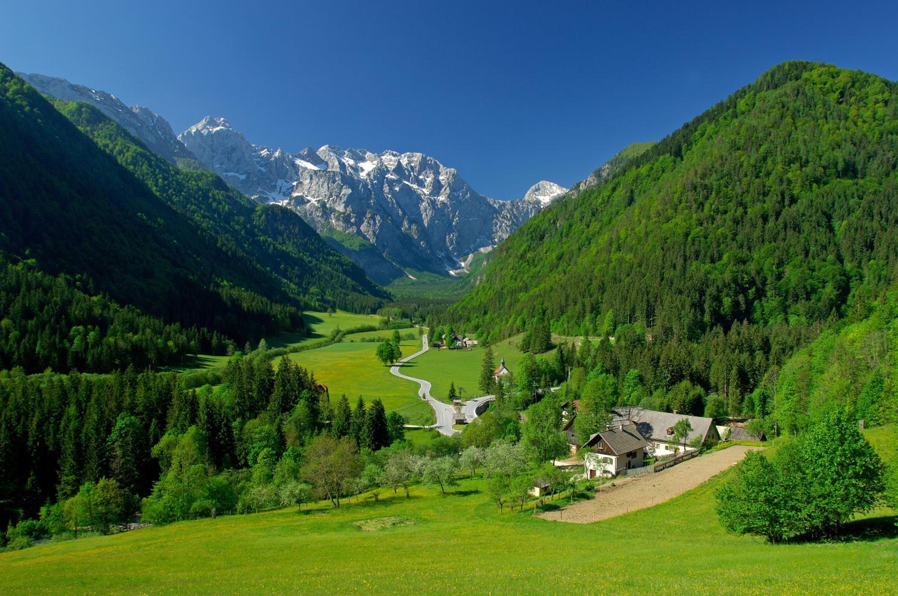 Superior Chalet photo 2