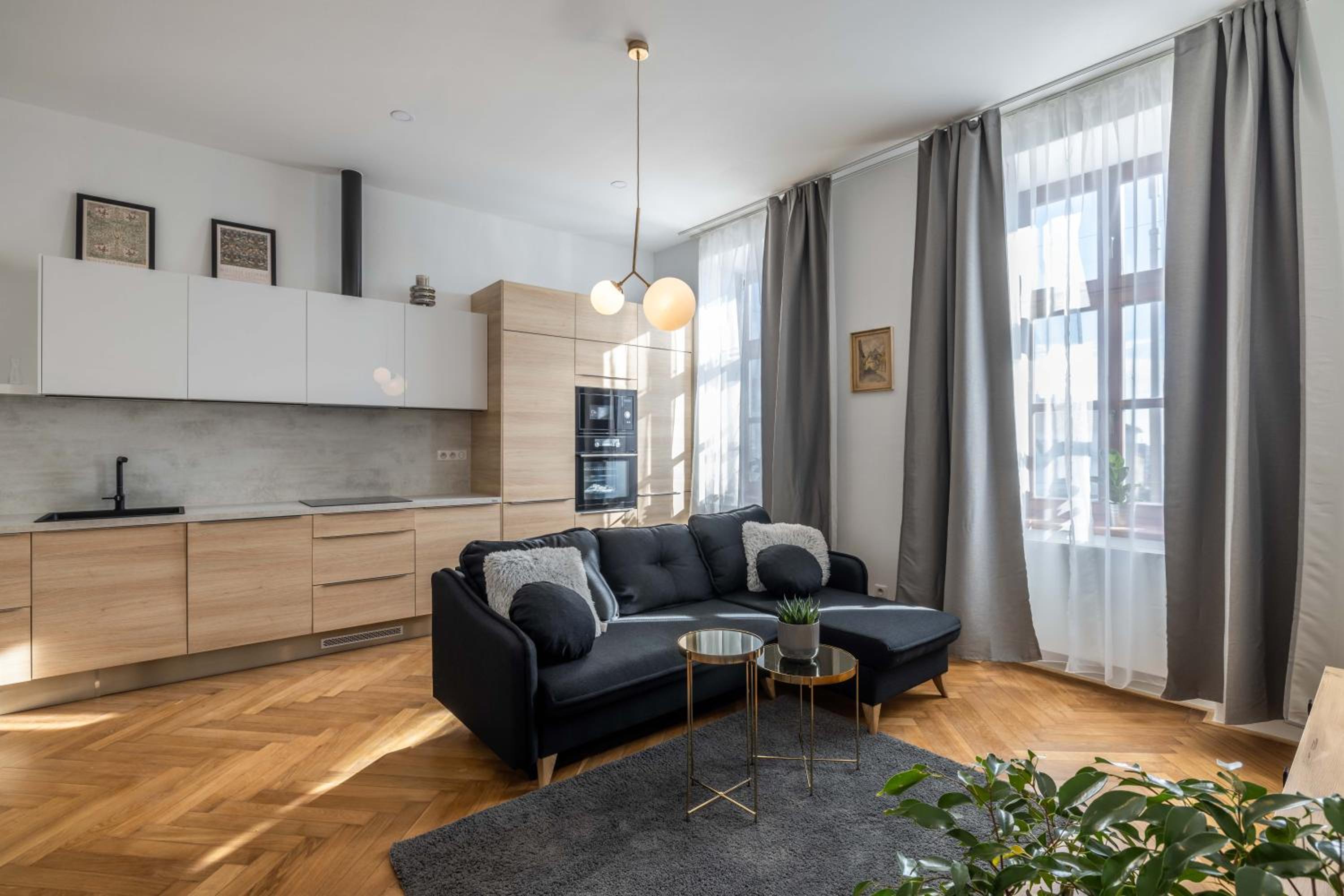 Studio Apartment with King Bed photo 2