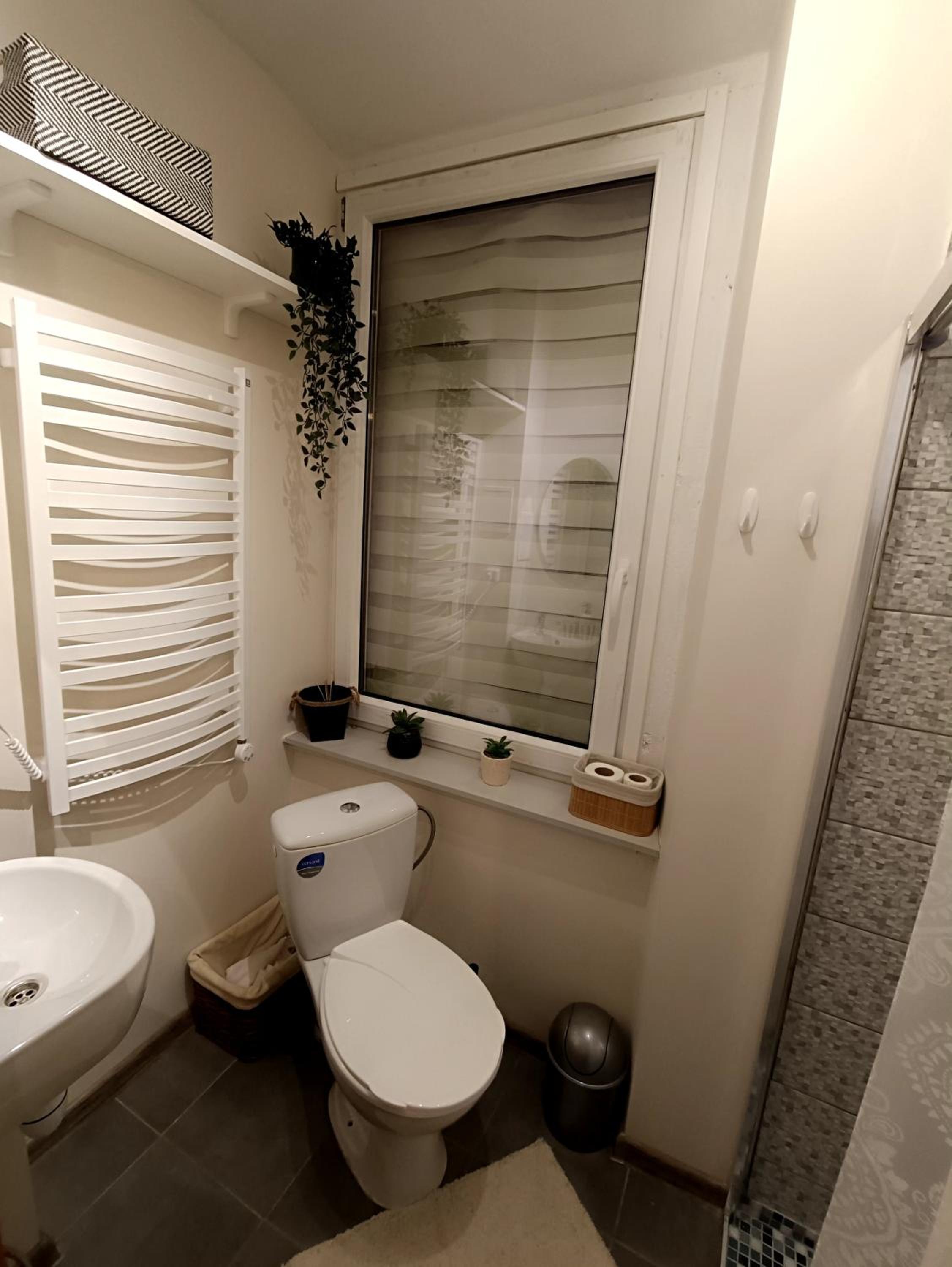 One-Bedroom Apartment photo 3
