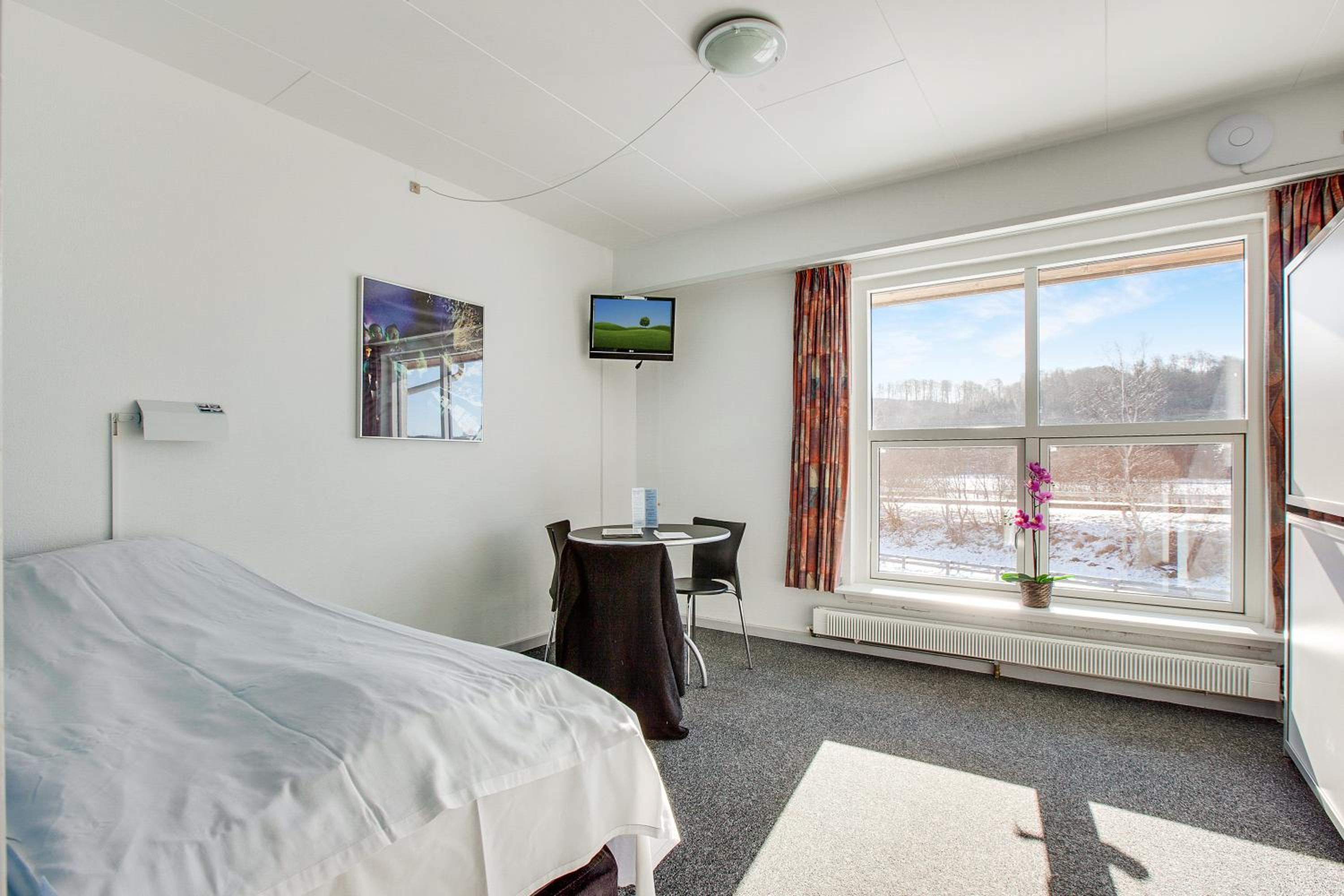 Single Room with Private Bathroom photo 1