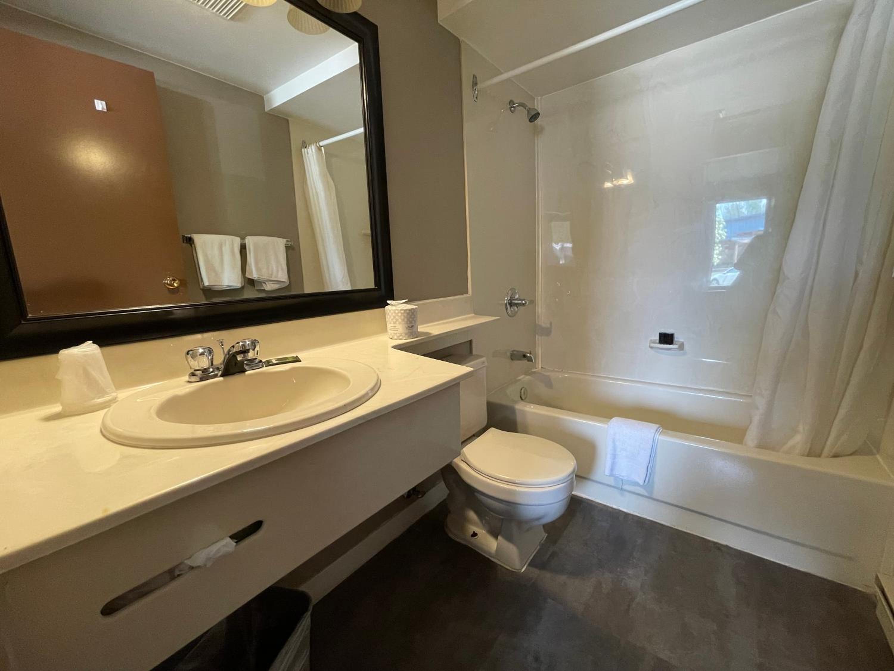 Deluxe One-Bedroom Suite photo 2