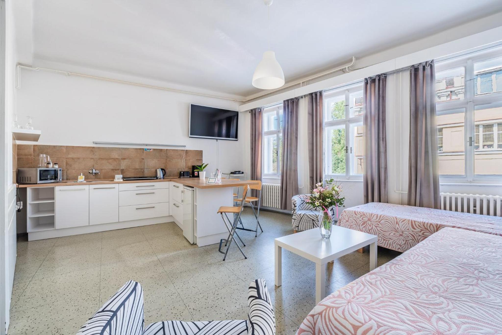 Large Apartment photo 1