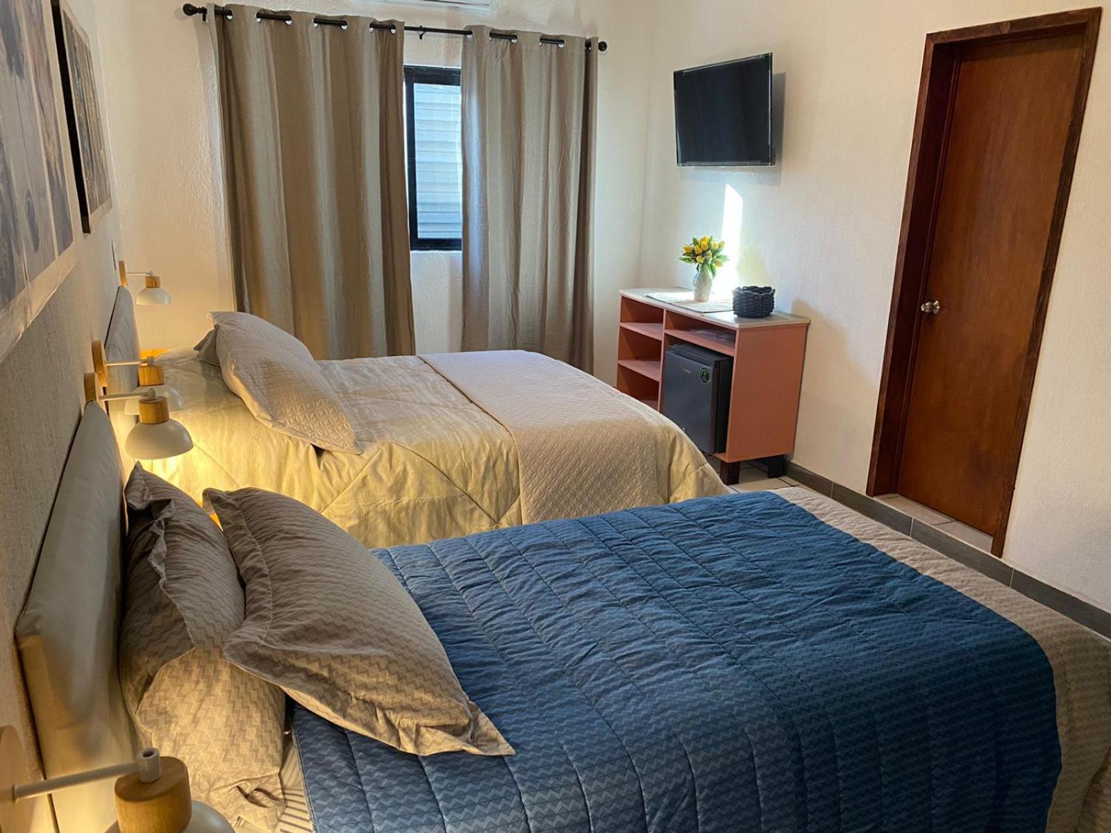 Twin Room photo 2