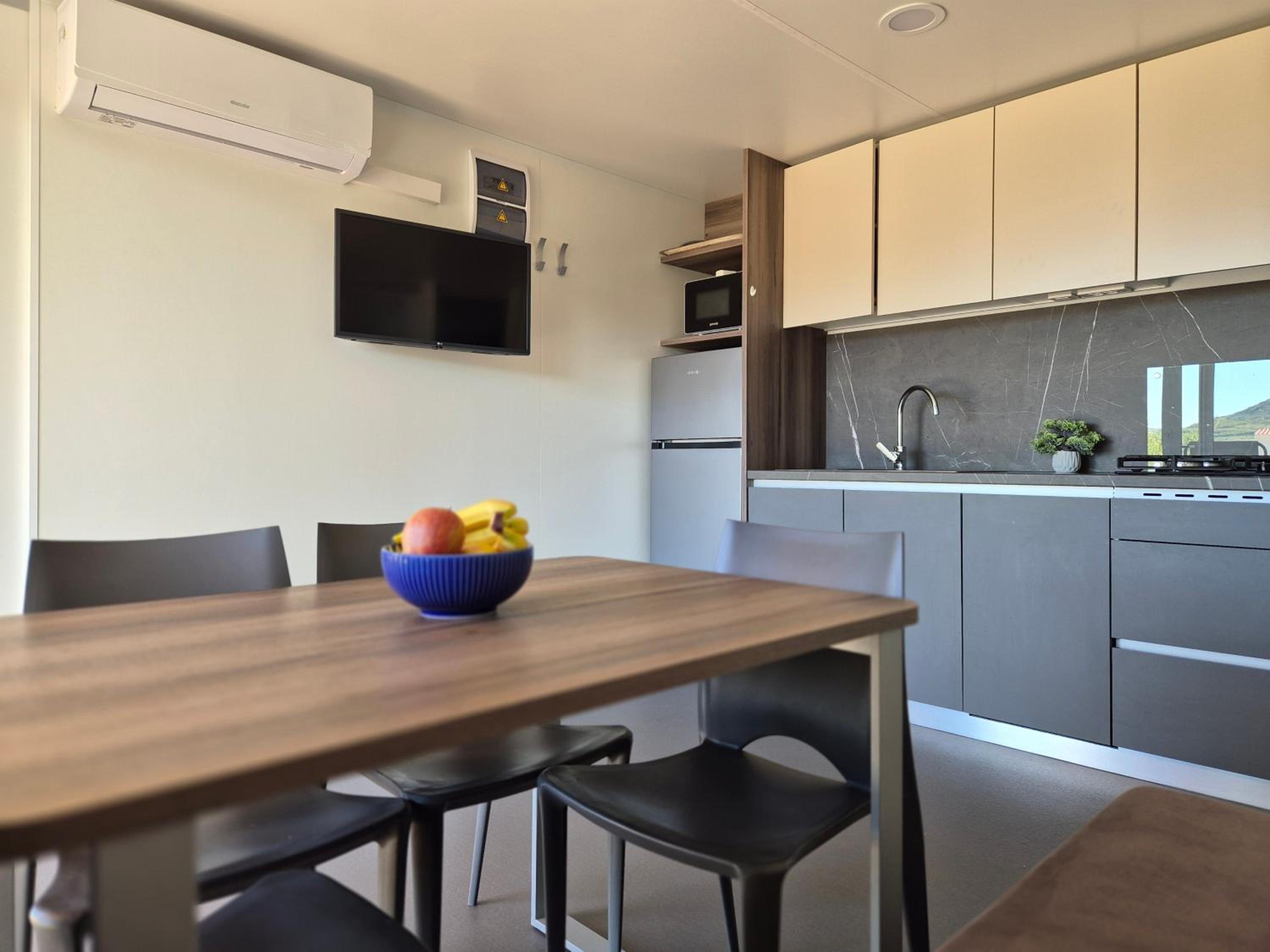 Mobile Home photo 2